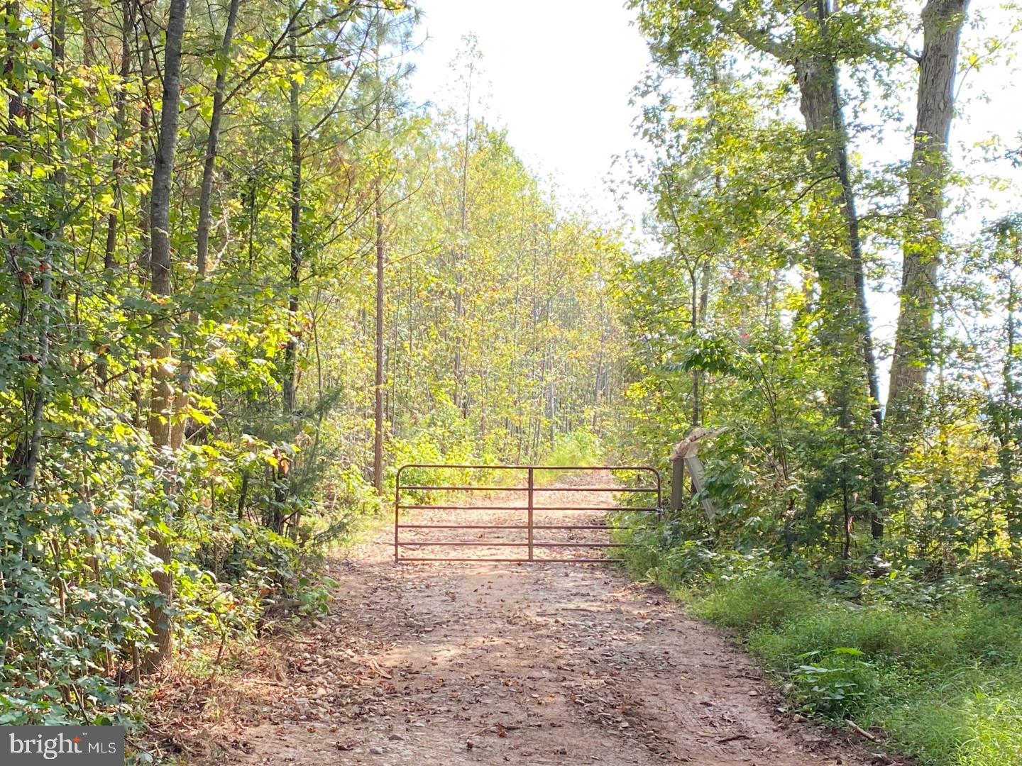 684 SQUIRREL HOLLOW RD, ALBERTA, Virginia 23821, ,Land,For sale,684 SQUIRREL HOLLOW RD,VABW2000088 MLS # VABW2000088