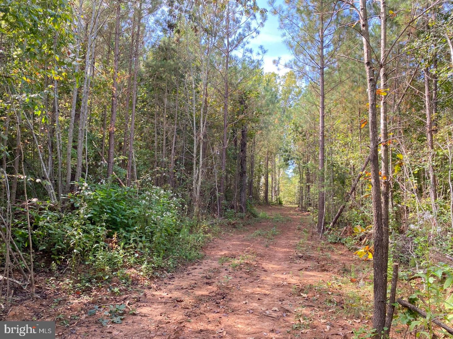 684 SQUIRREL HOLLOW RD, ALBERTA, Virginia 23821, ,Land,For sale,684 SQUIRREL HOLLOW RD,VABW2000088 MLS # VABW2000088