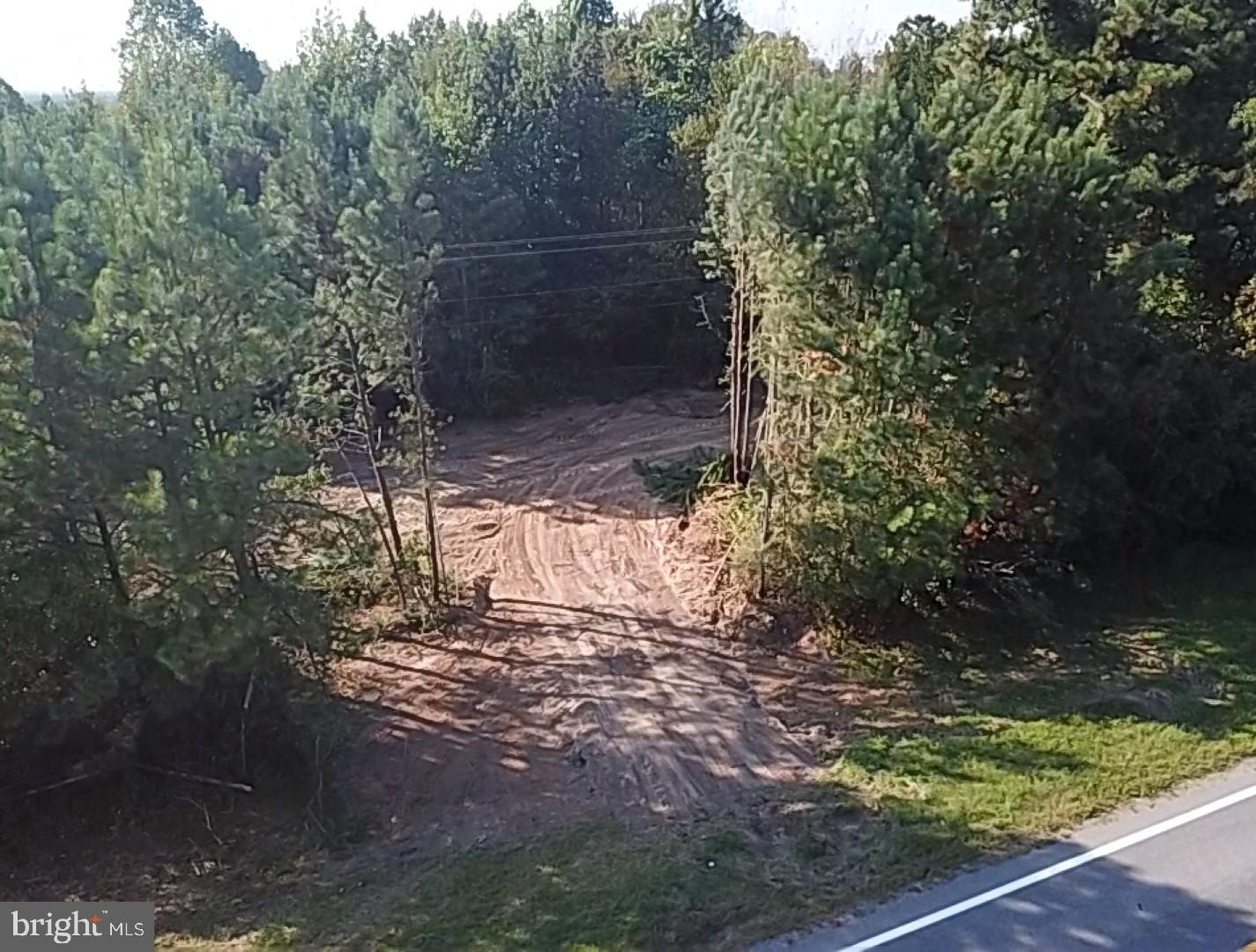 46 CHRISTANNA HWY #10.87 ACRES, LAWRENCEVILLE, Virginia 23868, ,Land,For sale,46 CHRISTANNA HWY #10.87 ACRES,VABW2000090 MLS # VABW2000090