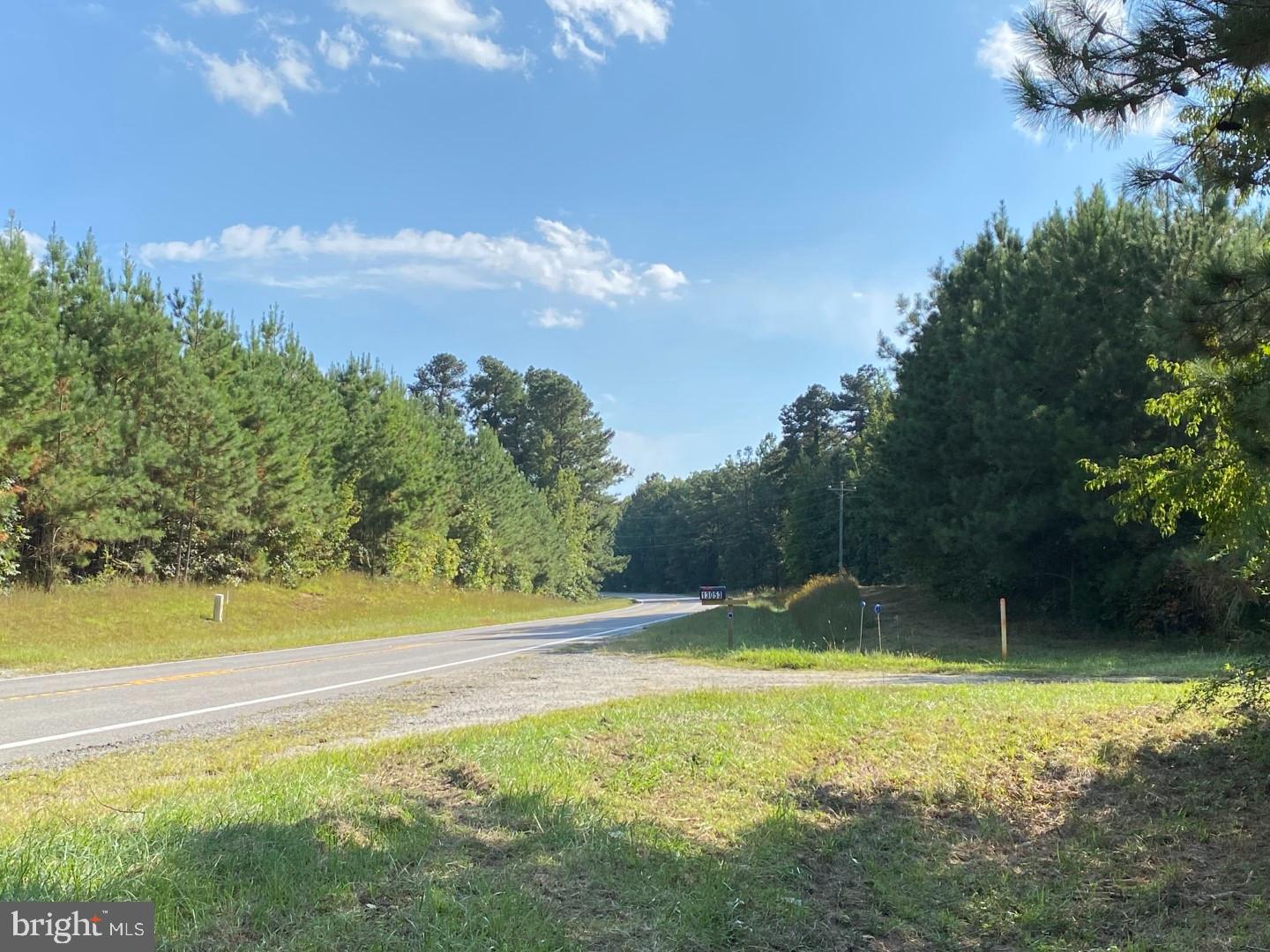 46 CHRISTANNA HWY #10.87 ACRES, LAWRENCEVILLE, Virginia 23868, ,Land,For sale,46 CHRISTANNA HWY #10.87 ACRES,VABW2000090 MLS # VABW2000090