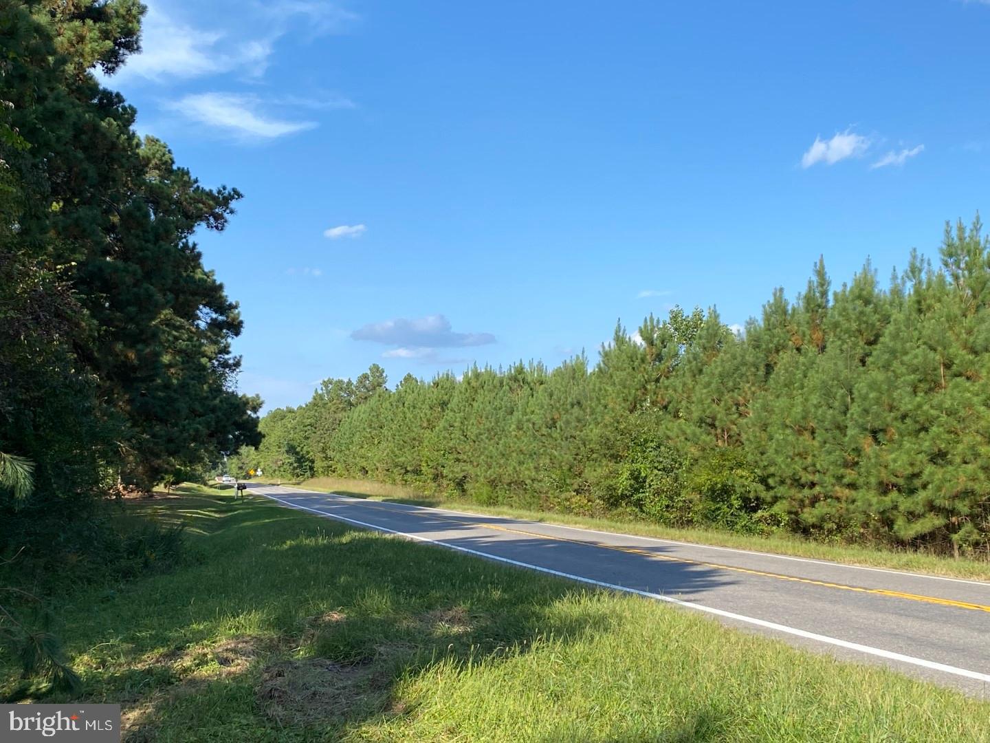 46 CHRISTANNA HWY #10.87 ACRES, LAWRENCEVILLE, Virginia 23868, ,Land,For sale,46 CHRISTANNA HWY #10.87 ACRES,VABW2000090 MLS # VABW2000090