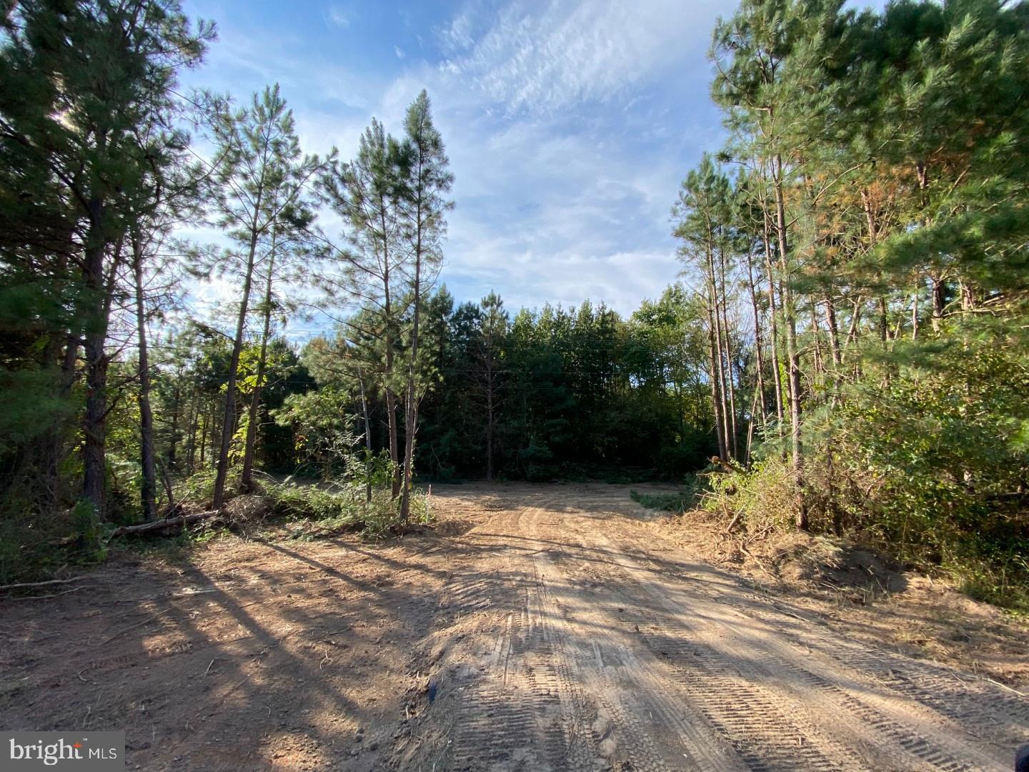 46 CHRISTANNA HWY #10.87 ACRES, LAWRENCEVILLE, Virginia 23868, ,Land,For sale,46 CHRISTANNA HWY #10.87 ACRES,VABW2000090 MLS # VABW2000090