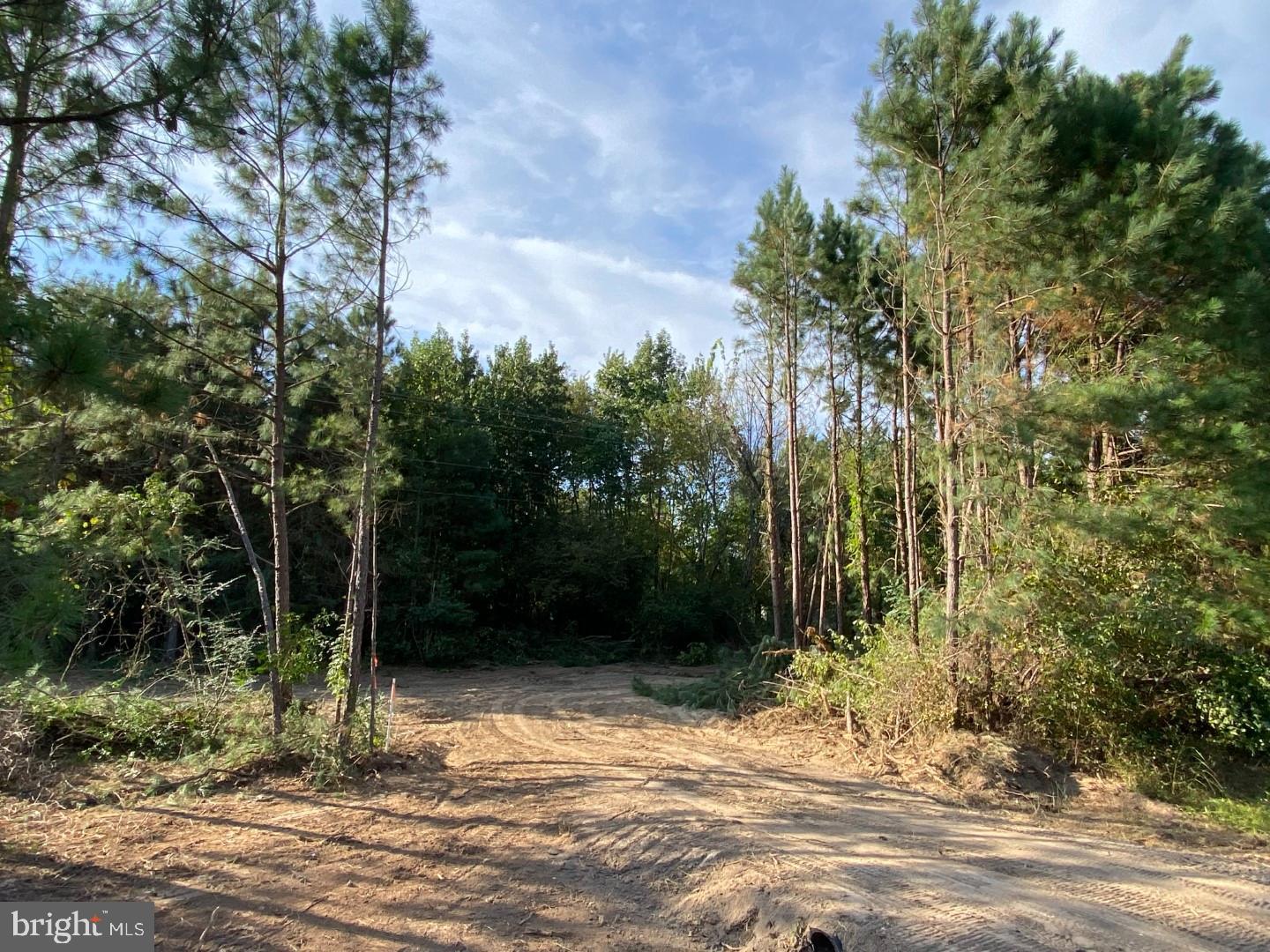 46 CHRISTANNA HWY #10.87 ACRES, LAWRENCEVILLE, Virginia 23868, ,Land,For sale,46 CHRISTANNA HWY #10.87 ACRES,VABW2000090 MLS # VABW2000090