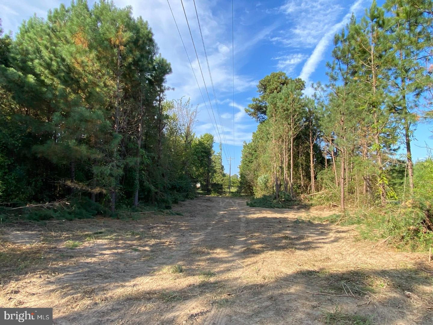 46 CHRISTANNA HWY #10.87 ACRES, LAWRENCEVILLE, Virginia 23868, ,Land,For sale,46 CHRISTANNA HWY #10.87 ACRES,VABW2000090 MLS # VABW2000090