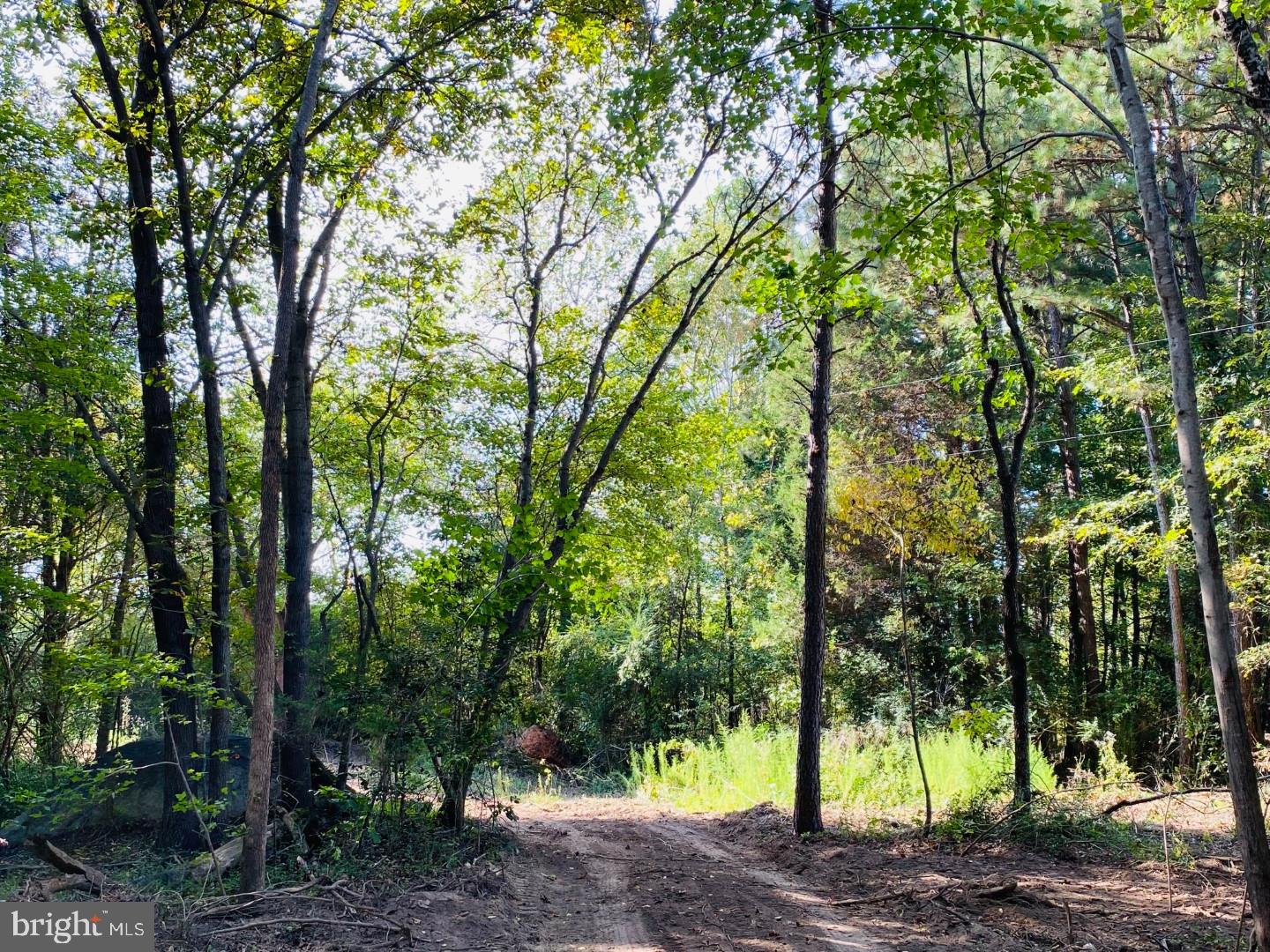 46 CHRISTANNA HWY #10.87 ACRES, LAWRENCEVILLE, Virginia 23868, ,Land,For sale,46 CHRISTANNA HWY #10.87 ACRES,VABW2000090 MLS # VABW2000090