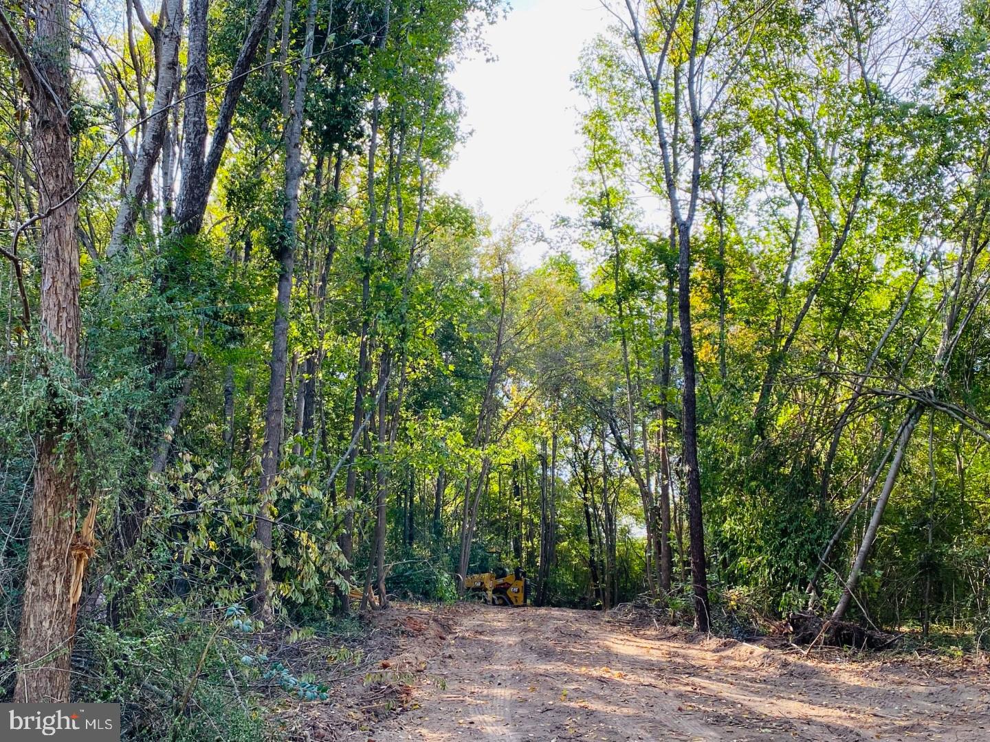 46 CHRISTANNA HWY #10.87 ACRES, LAWRENCEVILLE, Virginia 23868, ,Land,For sale,46 CHRISTANNA HWY #10.87 ACRES,VABW2000090 MLS # VABW2000090