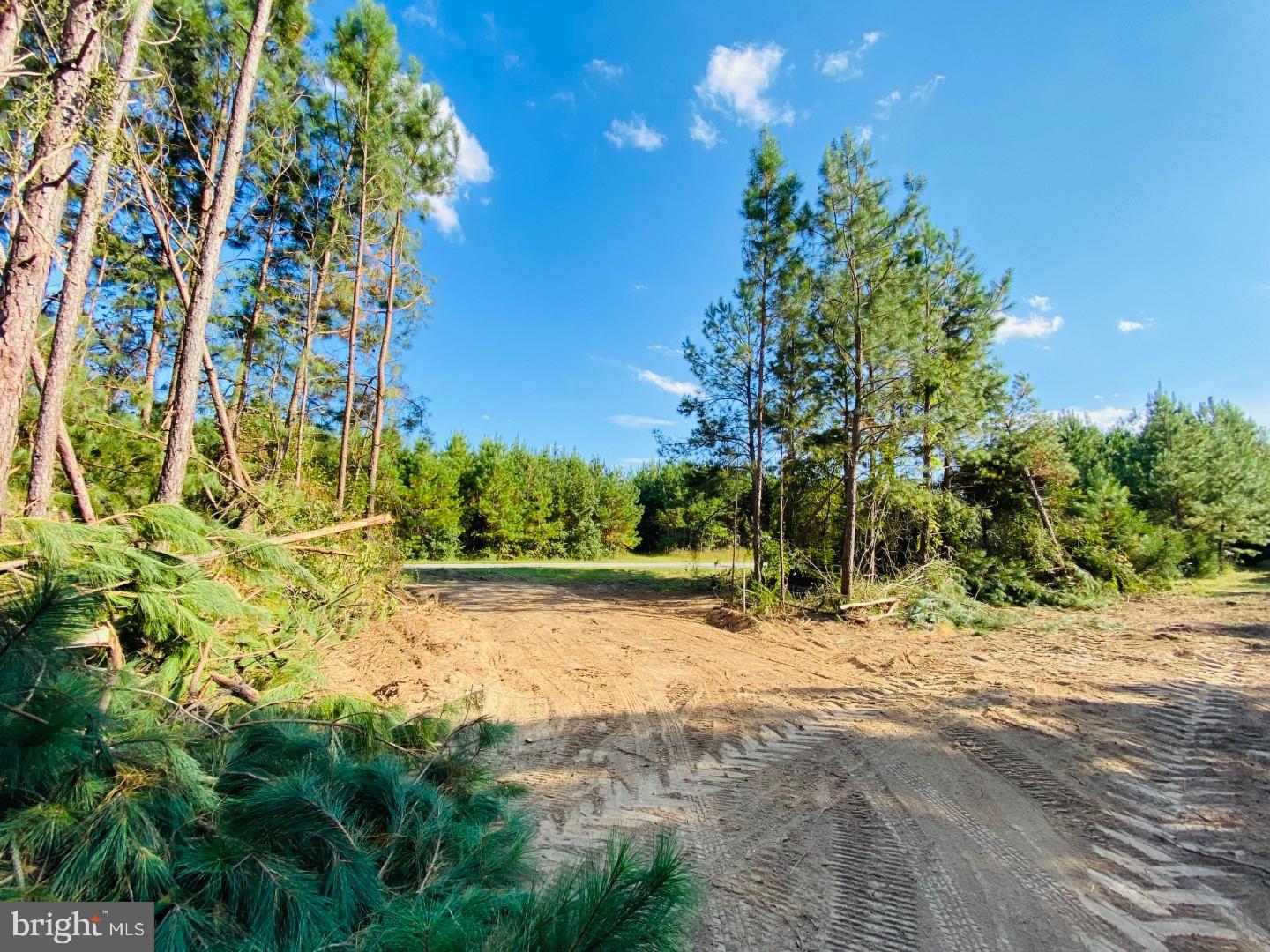 46 CHRISTANNA HWY #10.87 ACRES, LAWRENCEVILLE, Virginia 23868, ,Land,For sale,46 CHRISTANNA HWY #10.87 ACRES,VABW2000090 MLS # VABW2000090