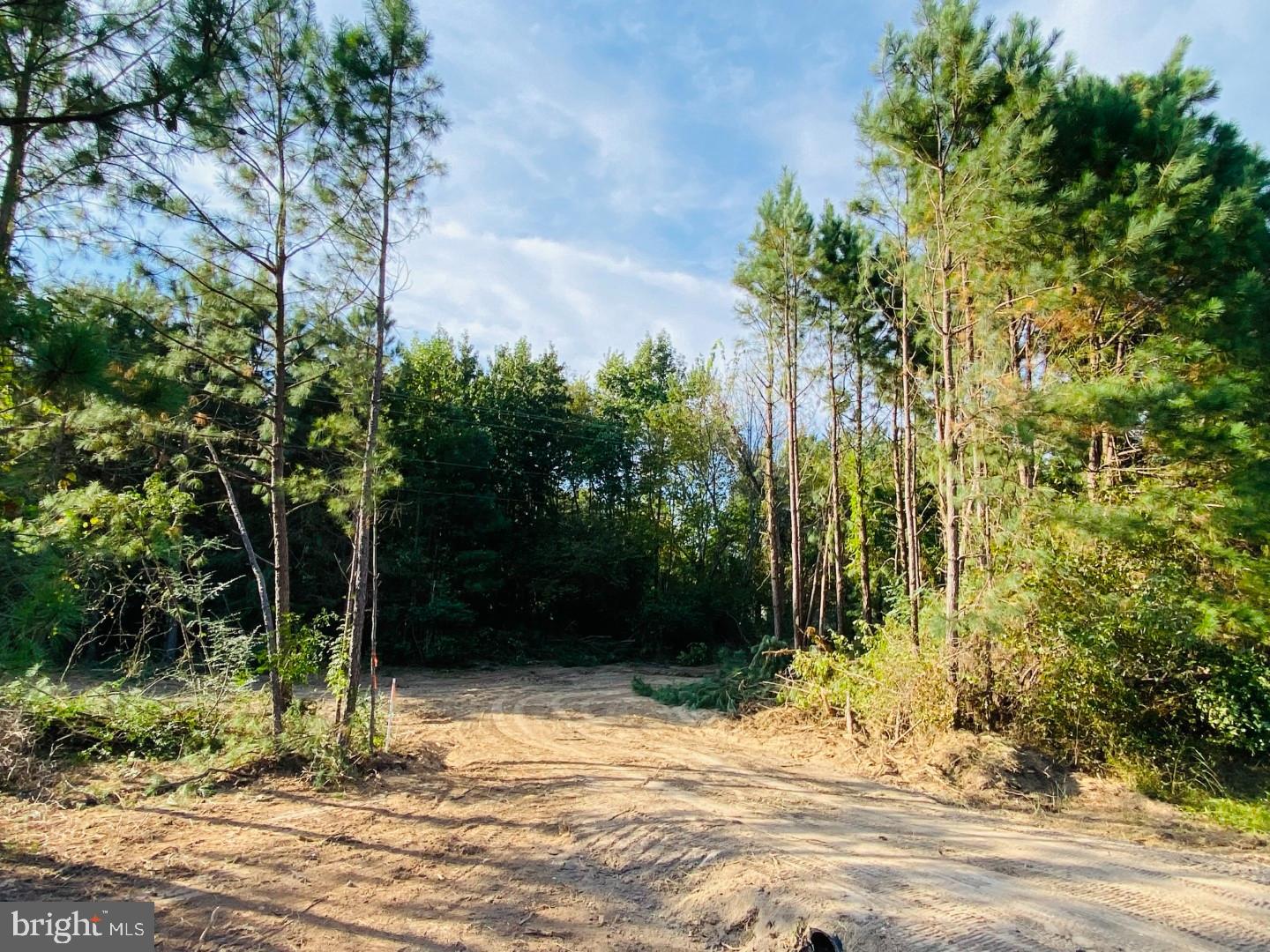 46 CHRISTANNA HWY #10.87 ACRES, LAWRENCEVILLE, Virginia 23868, ,Land,For sale,46 CHRISTANNA HWY #10.87 ACRES,VABW2000090 MLS # VABW2000090