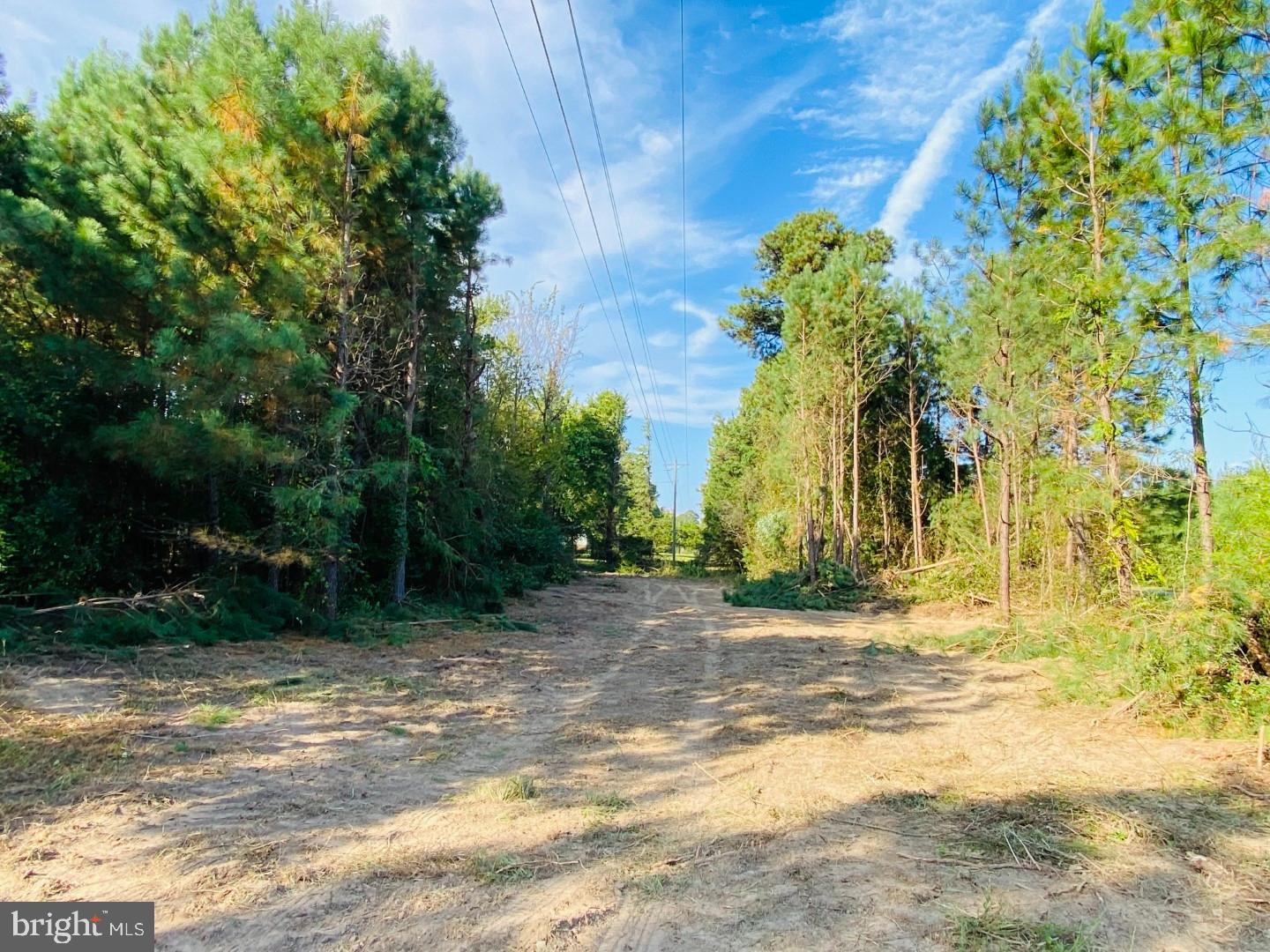 46 CHRISTANNA HWY #10.87 ACRES, LAWRENCEVILLE, Virginia 23868, ,Land,For sale,46 CHRISTANNA HWY #10.87 ACRES,VABW2000090 MLS # VABW2000090