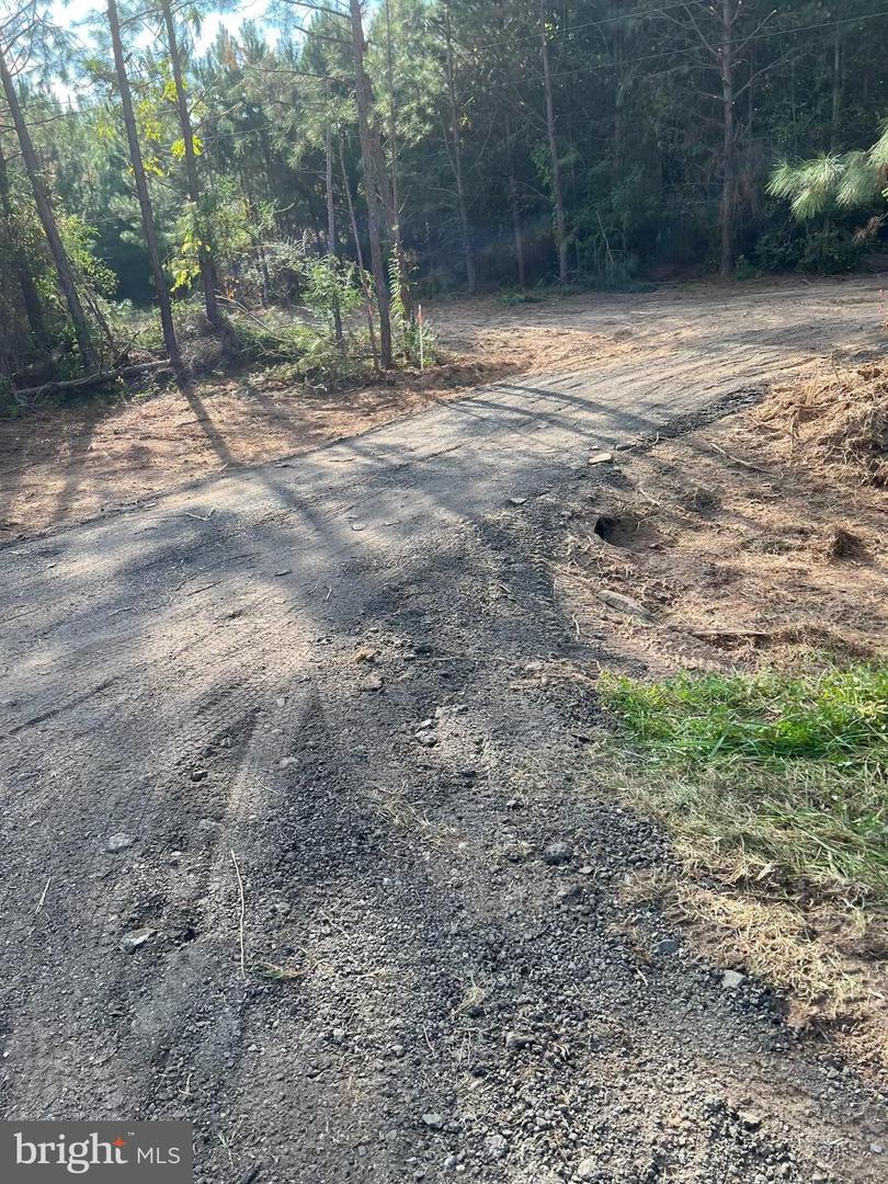 46 CHRISTANNA HWY #10.87 ACRES, LAWRENCEVILLE, Virginia 23868, ,Land,For sale,46 CHRISTANNA HWY #10.87 ACRES,VABW2000090 MLS # VABW2000090