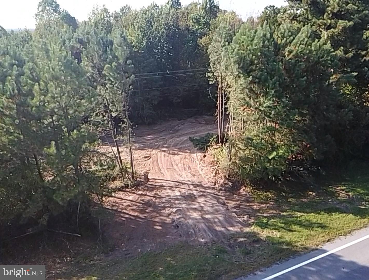 46 CHRISTANNA HWY #10.87 ACRES, LAWRENCEVILLE, Virginia 23868, ,Land,For sale,46 CHRISTANNA HWY #10.87 ACRES,VABW2000090 MLS # VABW2000090