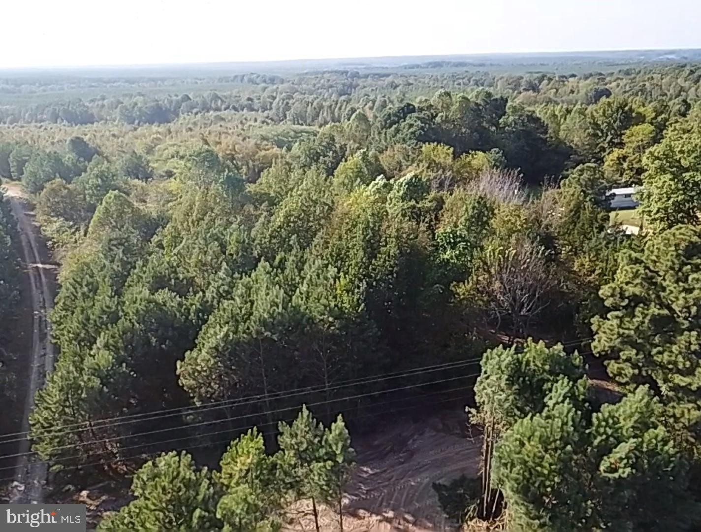 46 CHRISTANNA HWY #10.87 ACRES, LAWRENCEVILLE, Virginia 23868, ,Land,For sale,46 CHRISTANNA HWY #10.87 ACRES,VABW2000090 MLS # VABW2000090