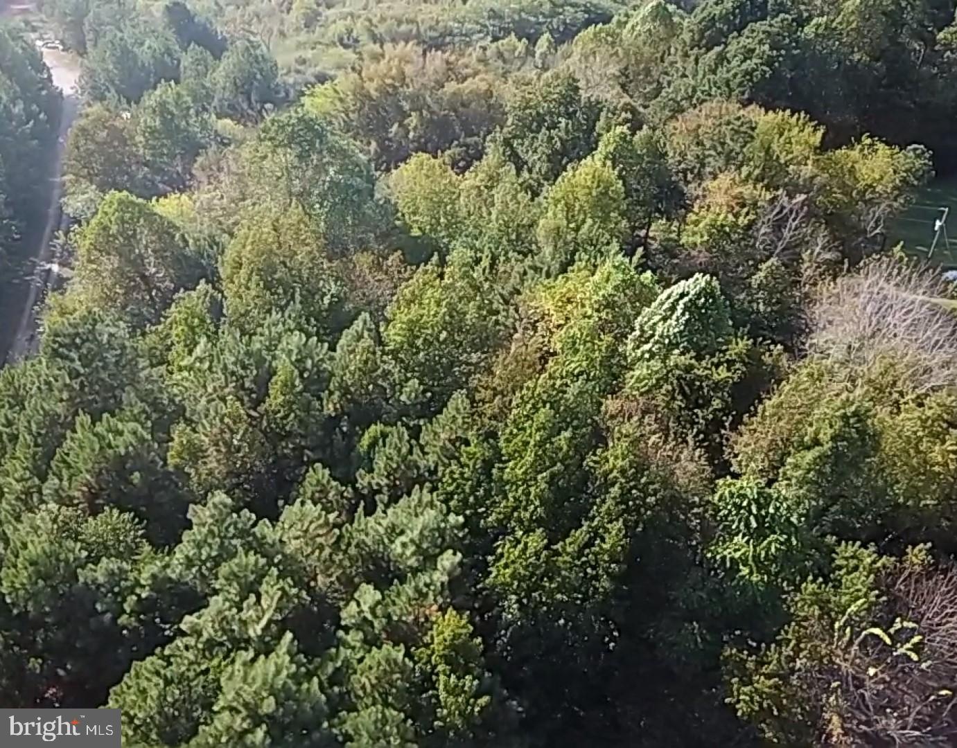 46 CHRISTANNA HWY #10.87 ACRES, LAWRENCEVILLE, Virginia 23868, ,Land,For sale,46 CHRISTANNA HWY #10.87 ACRES,VABW2000090 MLS # VABW2000090