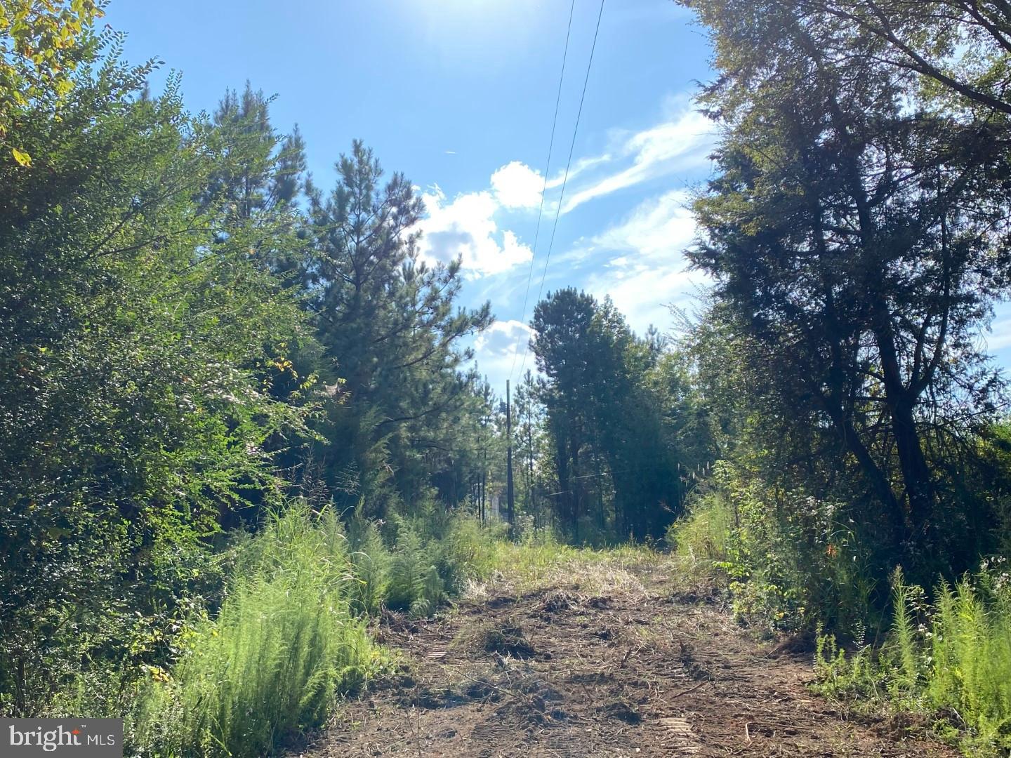 46 CHRISTANNA HWY #10.87 ACRES, LAWRENCEVILLE, Virginia 23868, ,Land,For sale,46 CHRISTANNA HWY #10.87 ACRES,VABW2000090 MLS # VABW2000090