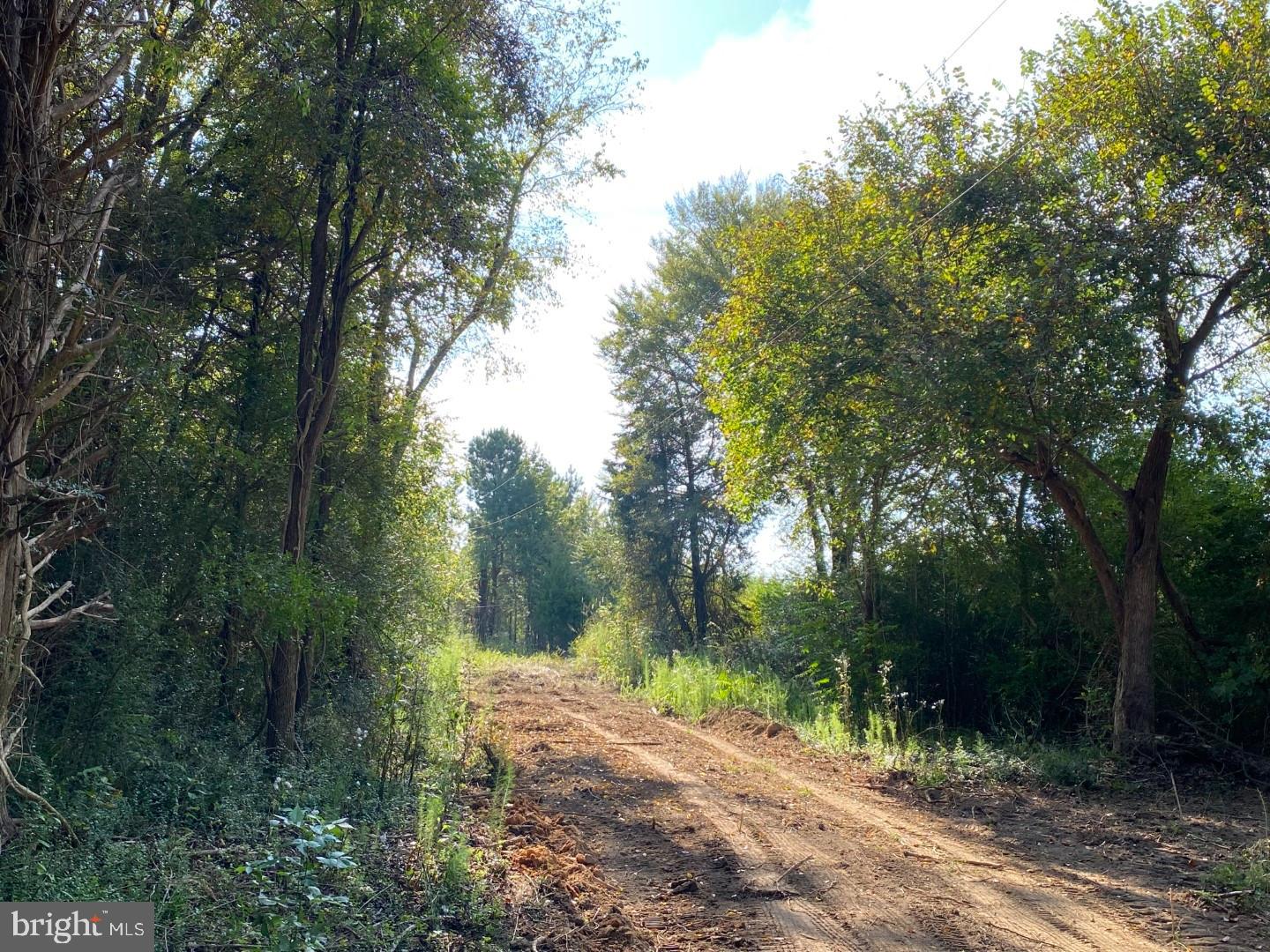 46 CHRISTANNA HWY #10.87 ACRES, LAWRENCEVILLE, Virginia 23868, ,Land,For sale,46 CHRISTANNA HWY #10.87 ACRES,VABW2000090 MLS # VABW2000090