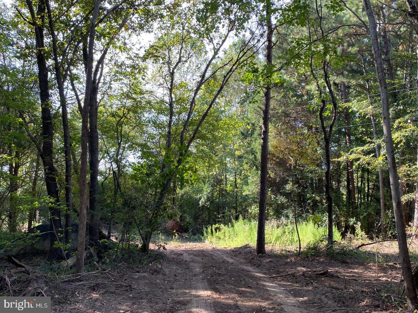 46 CHRISTANNA HWY #10.87 ACRES, LAWRENCEVILLE, Virginia 23868, ,Land,For sale,46 CHRISTANNA HWY #10.87 ACRES,VABW2000090 MLS # VABW2000090