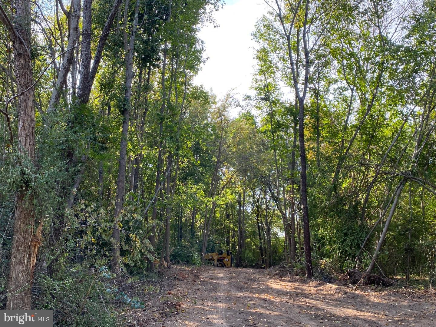 46 CHRISTANNA HWY #10.87 ACRES, LAWRENCEVILLE, Virginia 23868, ,Land,For sale,46 CHRISTANNA HWY #10.87 ACRES,VABW2000090 MLS # VABW2000090