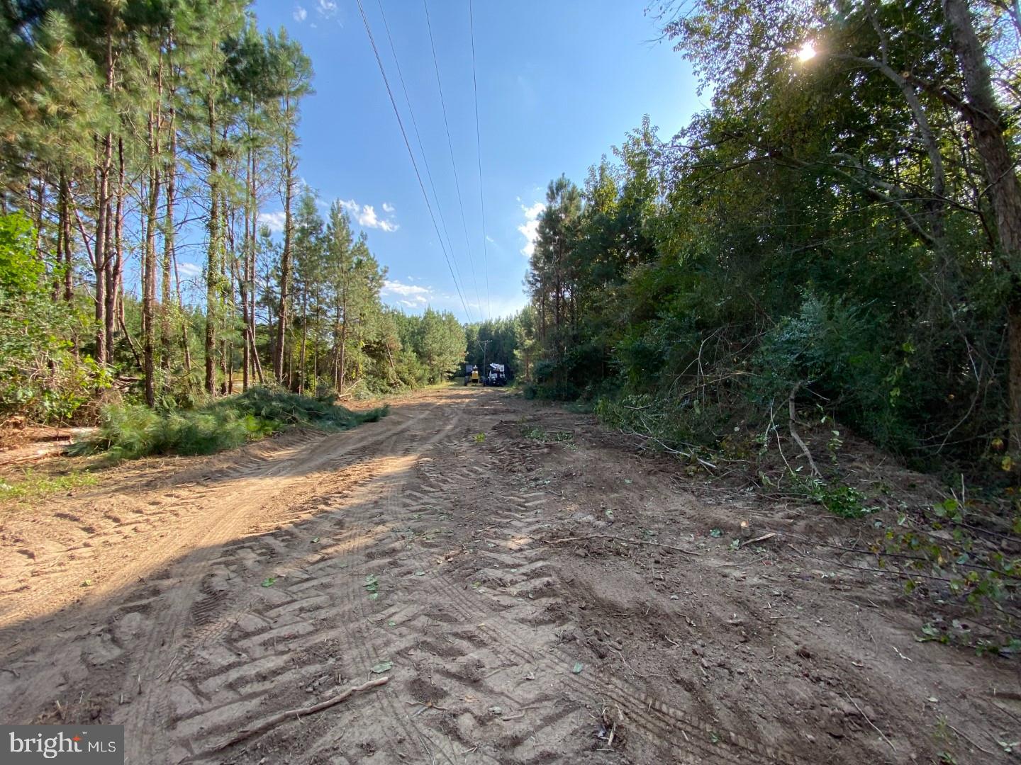46 CHRISTANNA HWY #10.87 ACRES, LAWRENCEVILLE, Virginia 23868, ,Land,For sale,46 CHRISTANNA HWY #10.87 ACRES,VABW2000090 MLS # VABW2000090