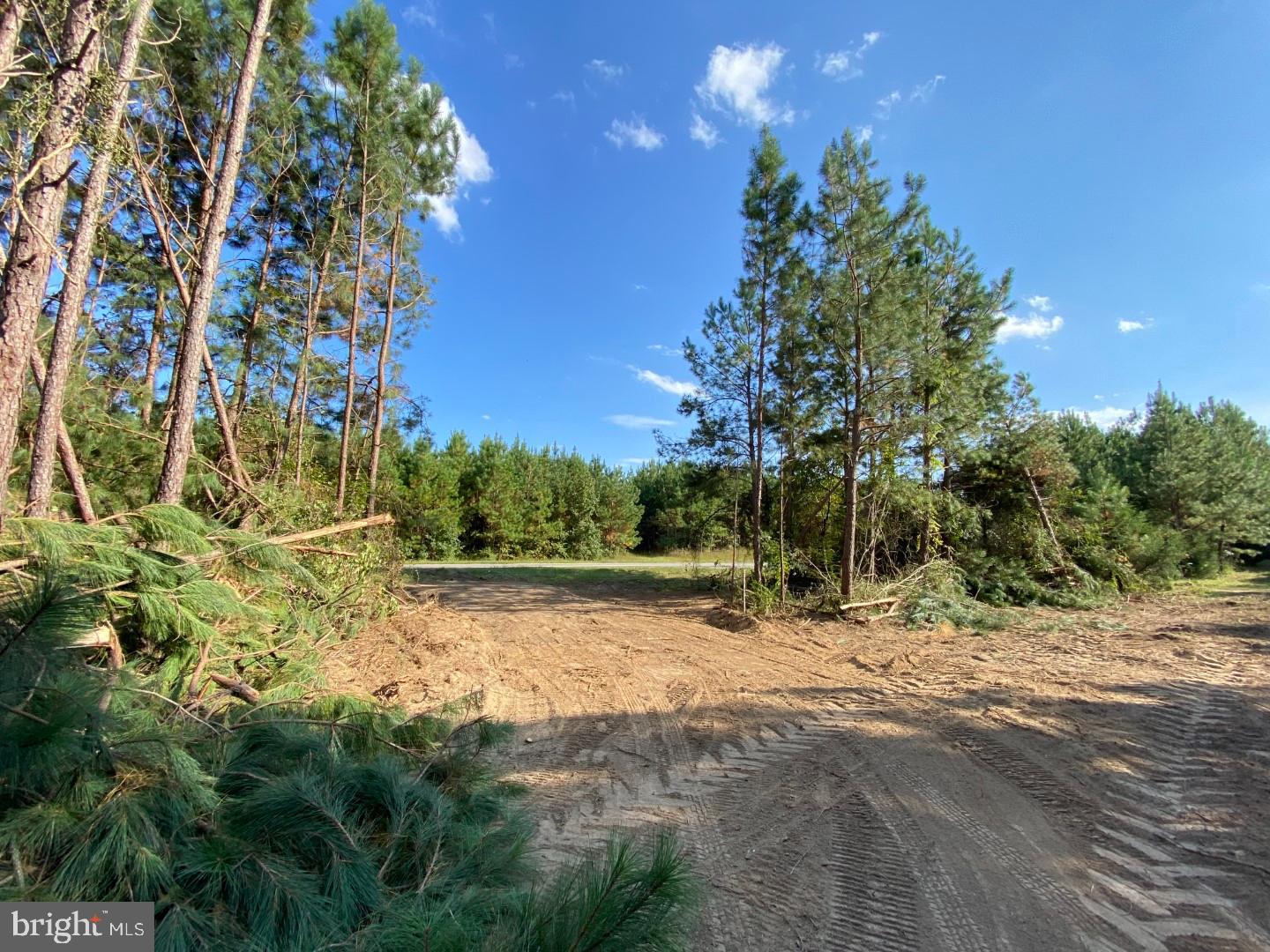 46 CHRISTANNA HWY #10.87 ACRES, LAWRENCEVILLE, Virginia 23868, ,Land,For sale,46 CHRISTANNA HWY #10.87 ACRES,VABW2000090 MLS # VABW2000090