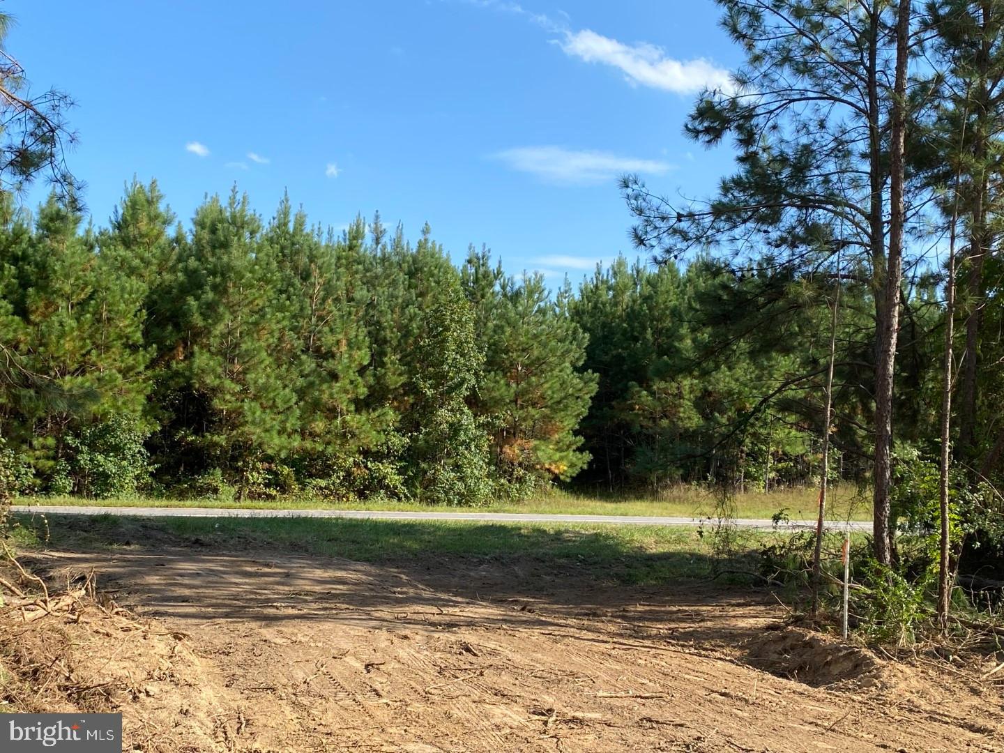 46 CHRISTANNA HWY #10.87 ACRES, LAWRENCEVILLE, Virginia 23868, ,Land,For sale,46 CHRISTANNA HWY #10.87 ACRES,VABW2000090 MLS # VABW2000090