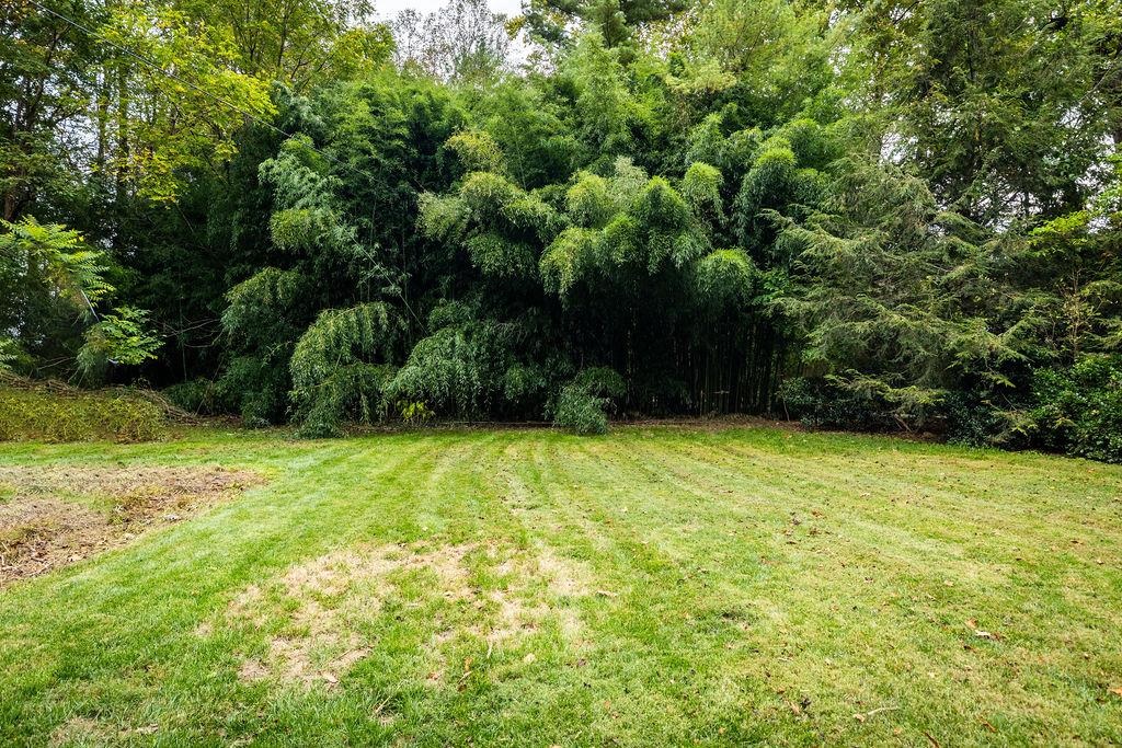 8787 THORNY BRANCH RD, BRIDGEWATER, Virginia 22812, 4 Bedrooms Bedrooms, ,3 BathroomsBathrooms,Residential,8787 THORNY BRANCH RD,669520 MLS # 669520