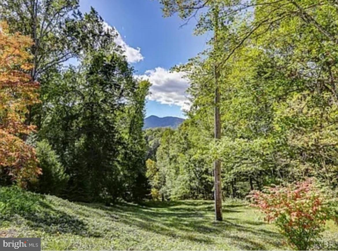 181 MOBLEY MTN RD, AMHERST, Virginia 24521, ,1 BathroomBathrooms,Residential,For sale,181 MOBLEY MTN RD,VAAH2000084 MLS # VAAH2000084