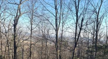 16251 SUMNEY DR, HAYMARKET, Virginia 20169, ,Land,For sale,16251 SUMNEY DR,VAPW2084414 MLS # VAPW2084414