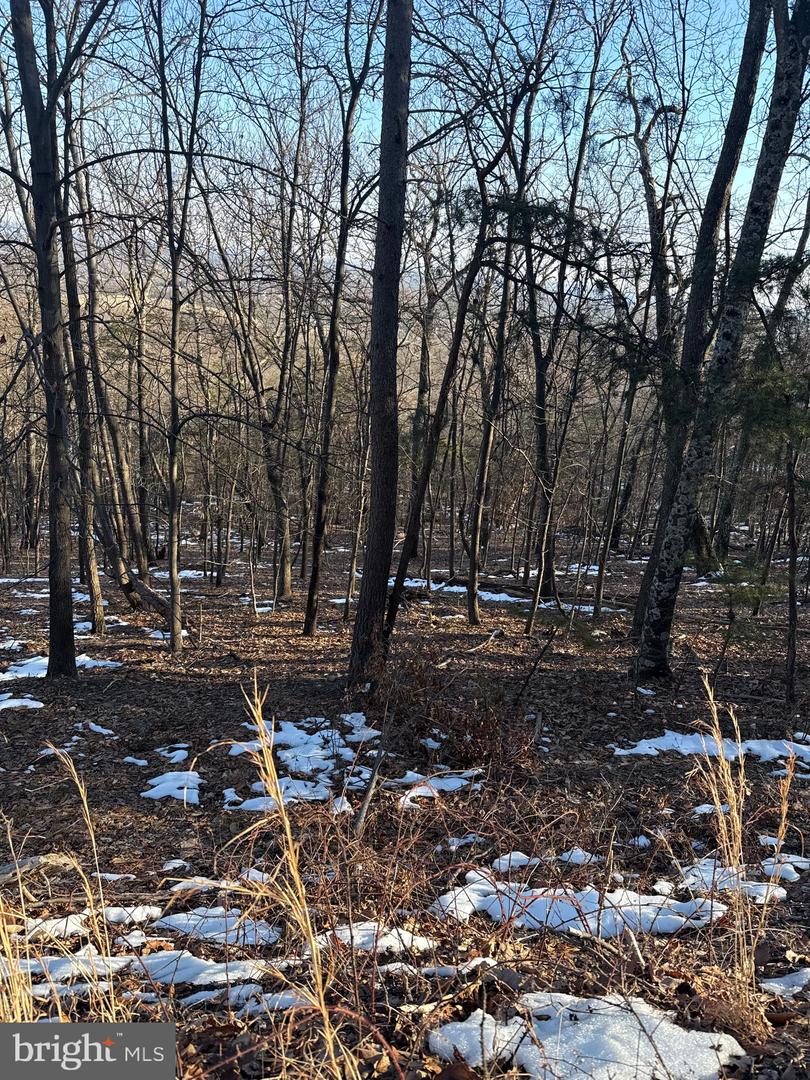 16211 SUMNEY DR, HAYMARKET, Virginia 20169, ,Land,For sale,16211 SUMNEY DR,VAPW2084422 MLS # VAPW2084422