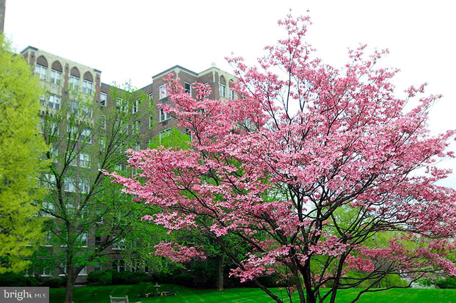 4000 CATHEDRAL AVE NW #208B, WASHINGTON, District Of Columbia 20016, 1 Bedroom Bedrooms, ,1 BathroomBathrooms,Residential,For sale,4000 CATHEDRAL AVE NW #208B,DCDC2223950 MLS # DCDC2223950