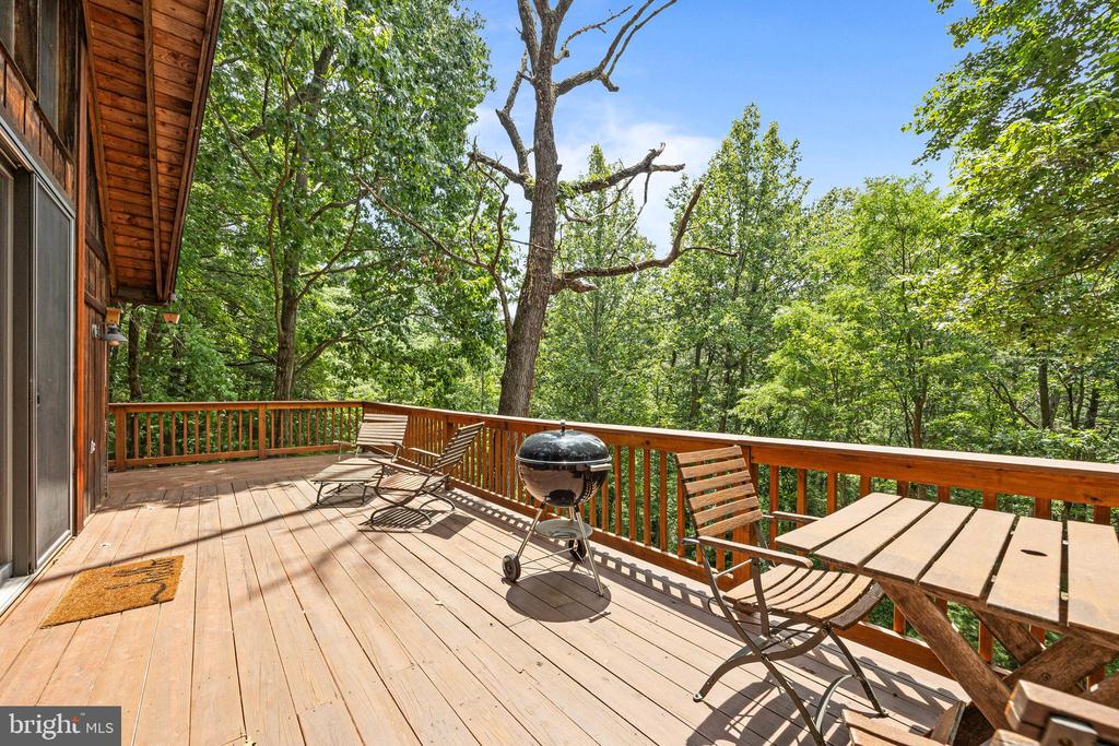 303 JORDAN HOLLOW RD, STANLEY, Virginia 22851, 2 Bedrooms Bedrooms, ,2 BathroomsBathrooms,Residential,303 JORDAN HOLLOW RD,VAPA2005164 MLS # VAPA2005164