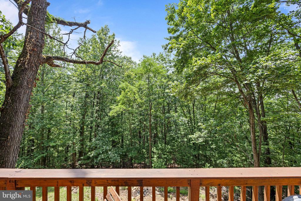 303 JORDAN HOLLOW RD, STANLEY, Virginia 22851, 2 Bedrooms Bedrooms, ,2 BathroomsBathrooms,Residential,303 JORDAN HOLLOW RD,VAPA2005164 MLS # VAPA2005164