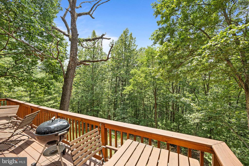 303 JORDAN HOLLOW RD, STANLEY, Virginia 22851, 2 Bedrooms Bedrooms, ,2 BathroomsBathrooms,Residential,303 JORDAN HOLLOW RD,VAPA2005164 MLS # VAPA2005164