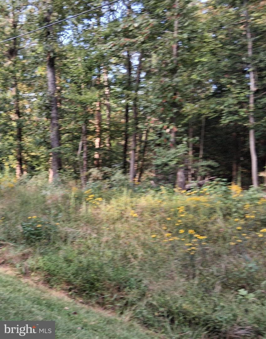 LOT #35 CLOVER COURT, MONTROSS, Virginia 22520, ,Land,For sale,LOT #35 CLOVER COURT,VAWE2009468 MLS # VAWE2009468