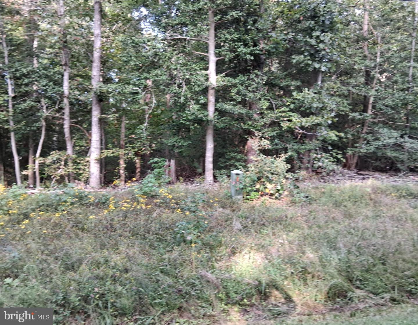 LOT #35 CLOVER COURT, MONTROSS, Virginia 22520, ,Land,For sale,LOT #35 CLOVER COURT,VAWE2009468 MLS # VAWE2009468