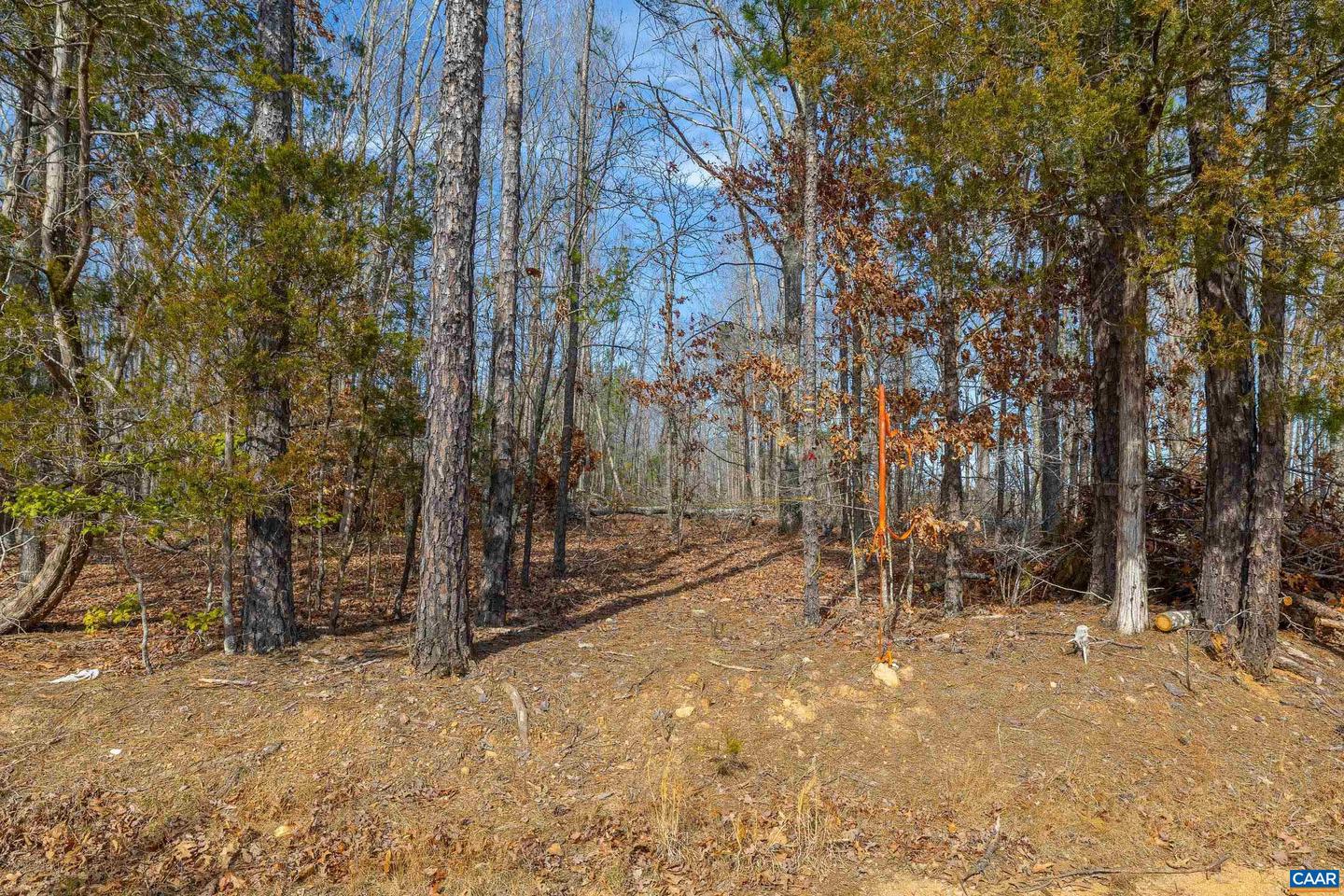 TBD BIBLE WAY RD, VICTORIA, Virginia 23974, ,Land,For sale,TBD BIBLE WAY RD,661556 MLS # 661556