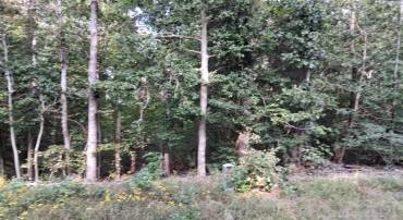 LOT #34 CLOVER COURT, MONTROSS, Virginia 22520, ,Land,For sale,LOT #34 CLOVER COURT,VAWE2009460 MLS # VAWE2009460