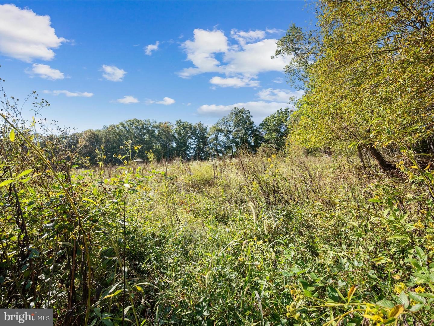 0 PENNY ANN LN, STRASBURG, Virginia 22657, ,Land,For sale,0 PENNY ANN LN,VAWR2012352 MLS # VAWR2012352
