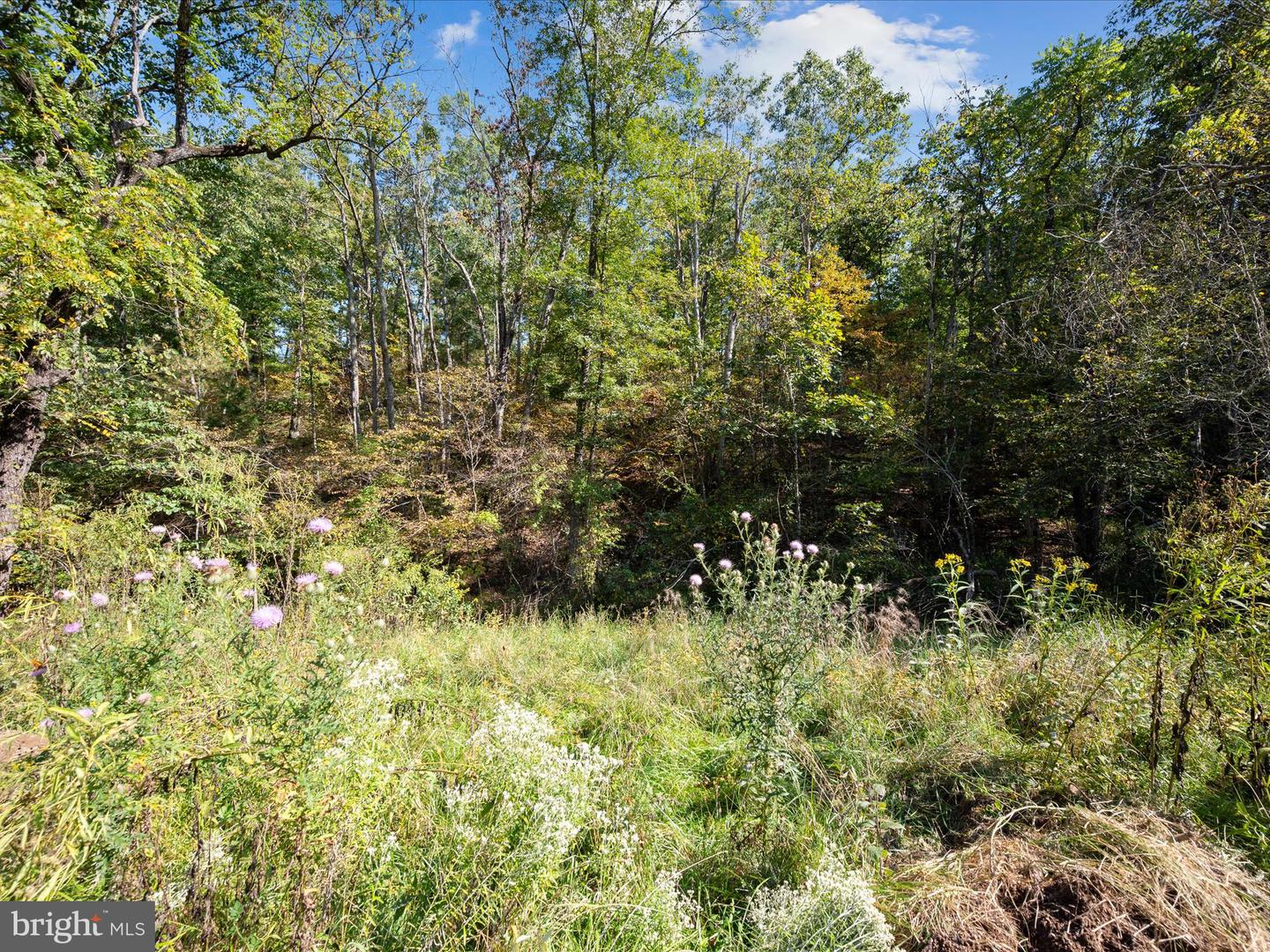 0 PENNY ANN LN, STRASBURG, Virginia 22657, ,Land,For sale,0 PENNY ANN LN,VAWR2012352 MLS # VAWR2012352