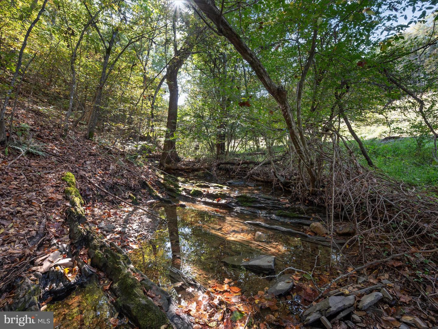 0 PENNY ANN LN, STRASBURG, Virginia 22657, ,Land,For sale,0 PENNY ANN LN,VAWR2012352 MLS # VAWR2012352
