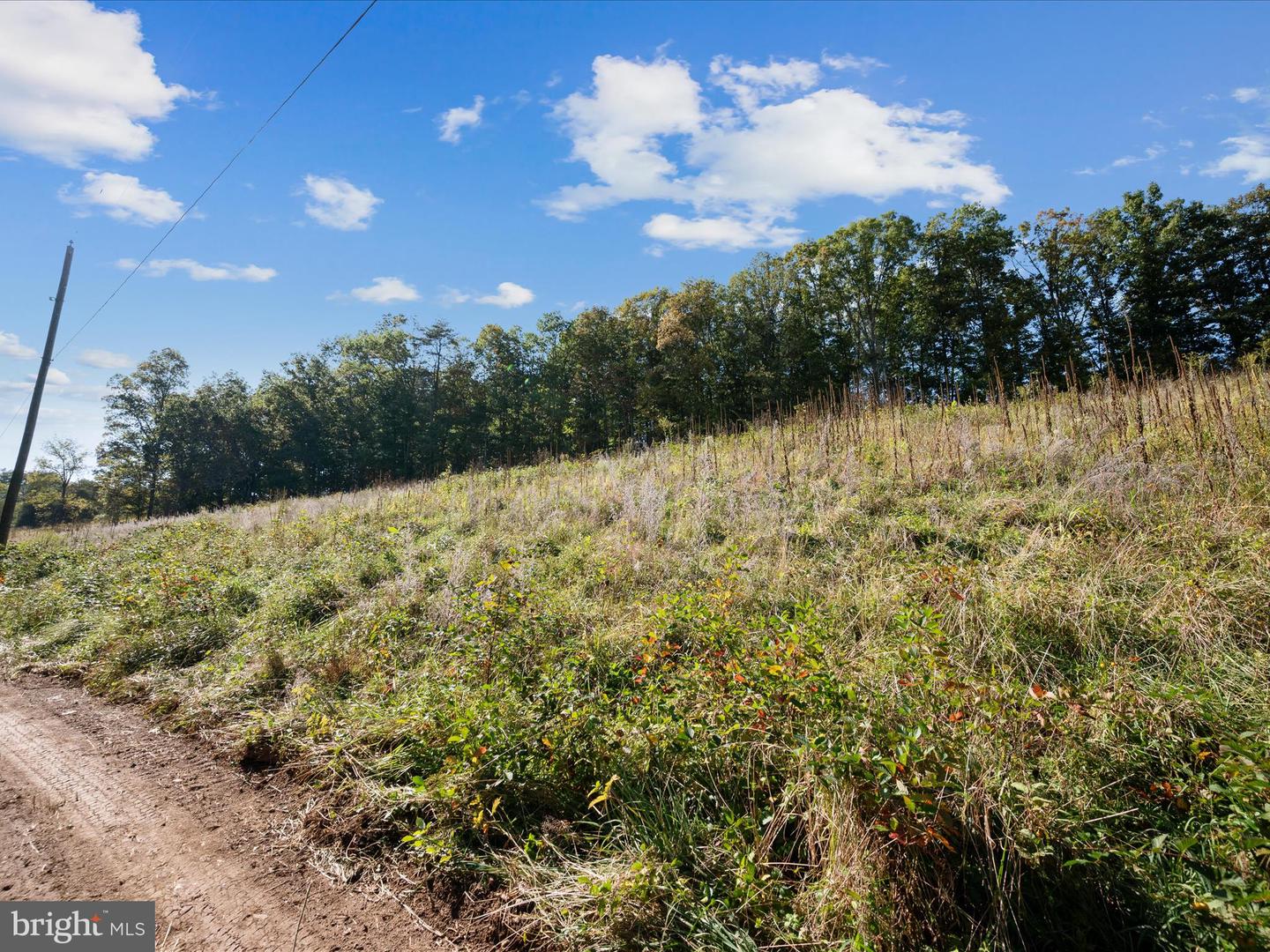 0 PENNY ANN LN, STRASBURG, Virginia 22657, ,Land,For sale,0 PENNY ANN LN,VAWR2012352 MLS # VAWR2012352