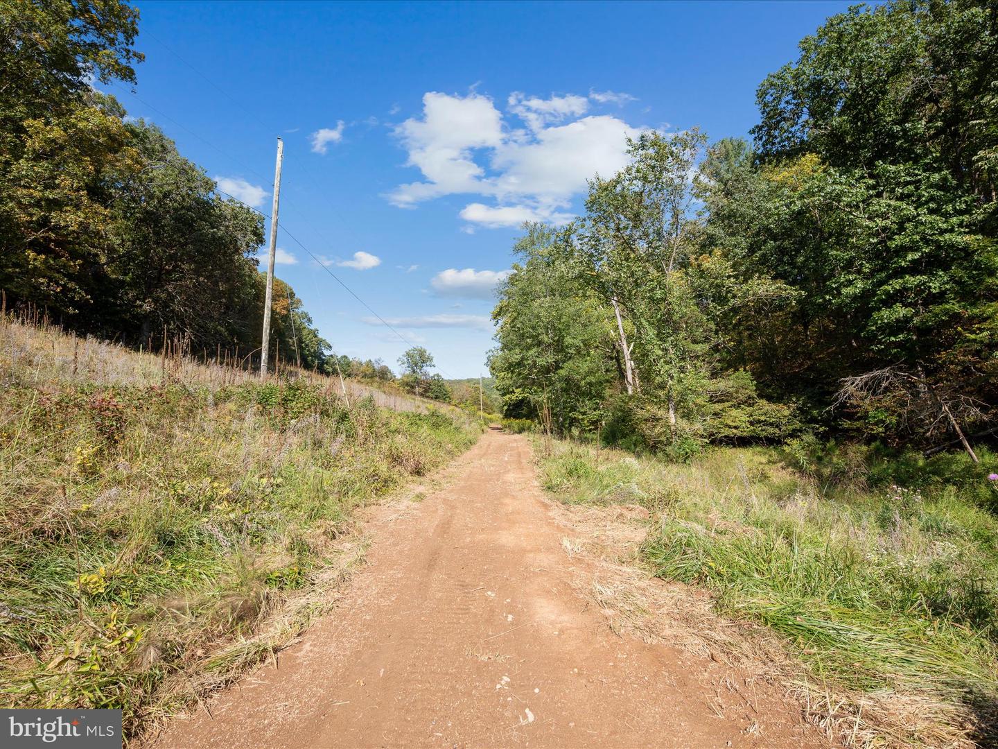 0 PENNY ANN LN, STRASBURG, Virginia 22657, ,Land,For sale,0 PENNY ANN LN,VAWR2012352 MLS # VAWR2012352
