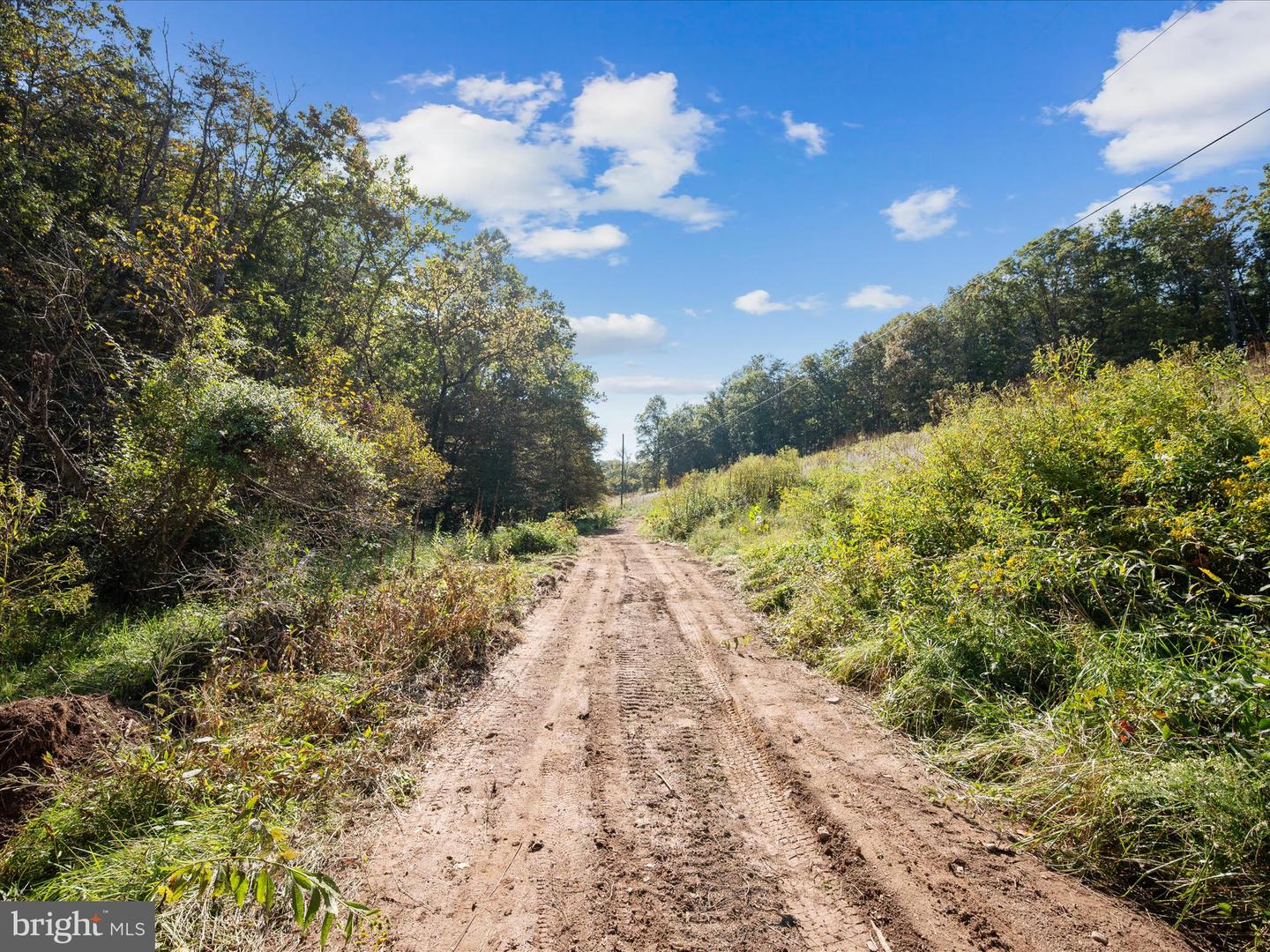 0 PENNY ANN LN, STRASBURG, Virginia 22657, ,Land,For sale,0 PENNY ANN LN,VAWR2012352 MLS # VAWR2012352
