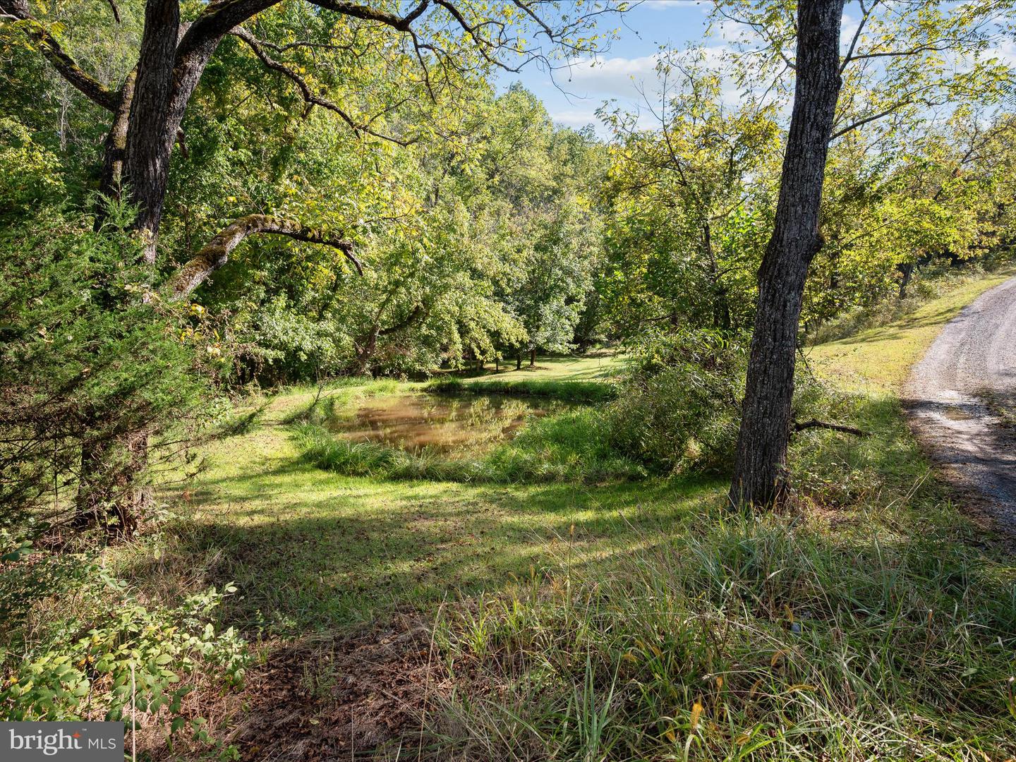PENNY ANN LN, STRASBURG, Virginia 22657, ,Land,For sale,PENNY ANN LN,VAWR2012354 MLS # VAWR2012354