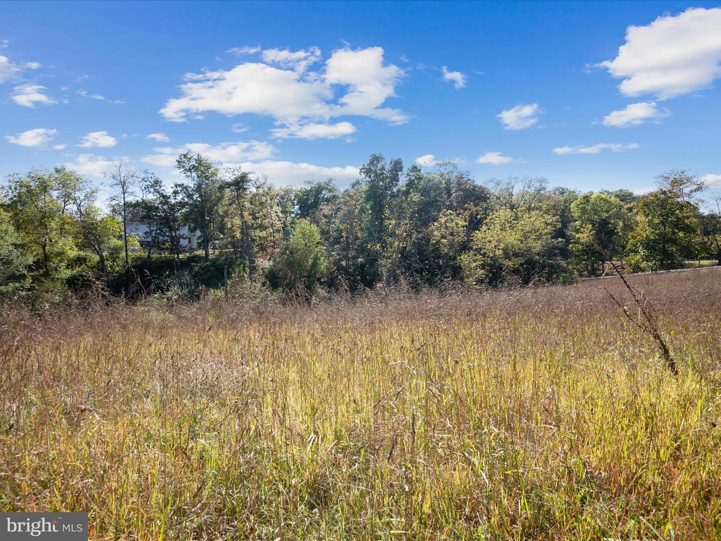PENNY ANN LN, STRASBURG, Virginia 22657, ,Land,For sale,PENNY ANN LN,VAWR2012354 MLS # VAWR2012354