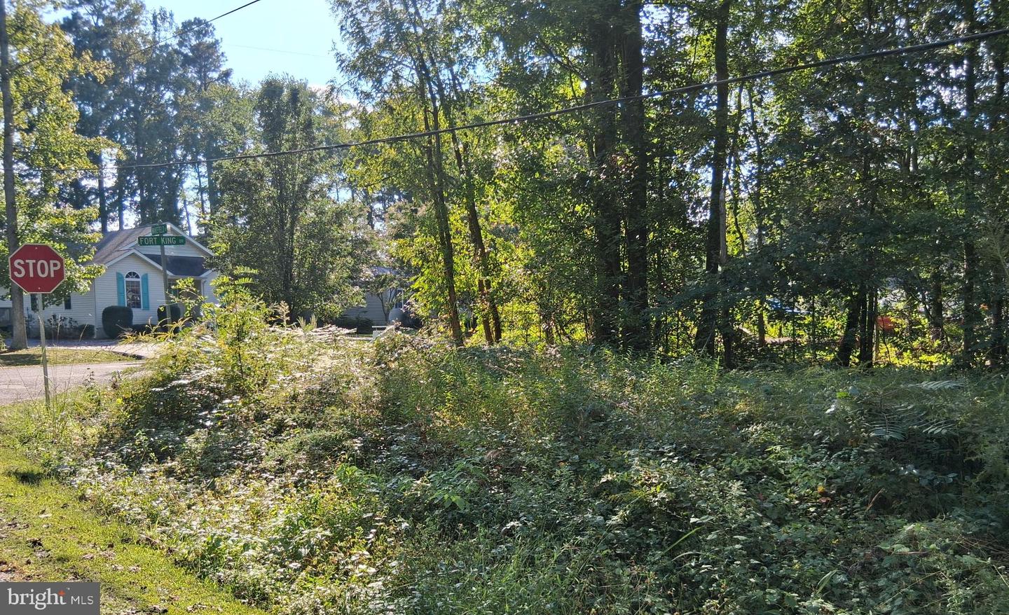 000 FORT KING DR, COLONIAL BEACH, Virginia 22443, ,Land,For sale,000 FORT KING DR,VAWE2009824 MLS # VAWE2009824