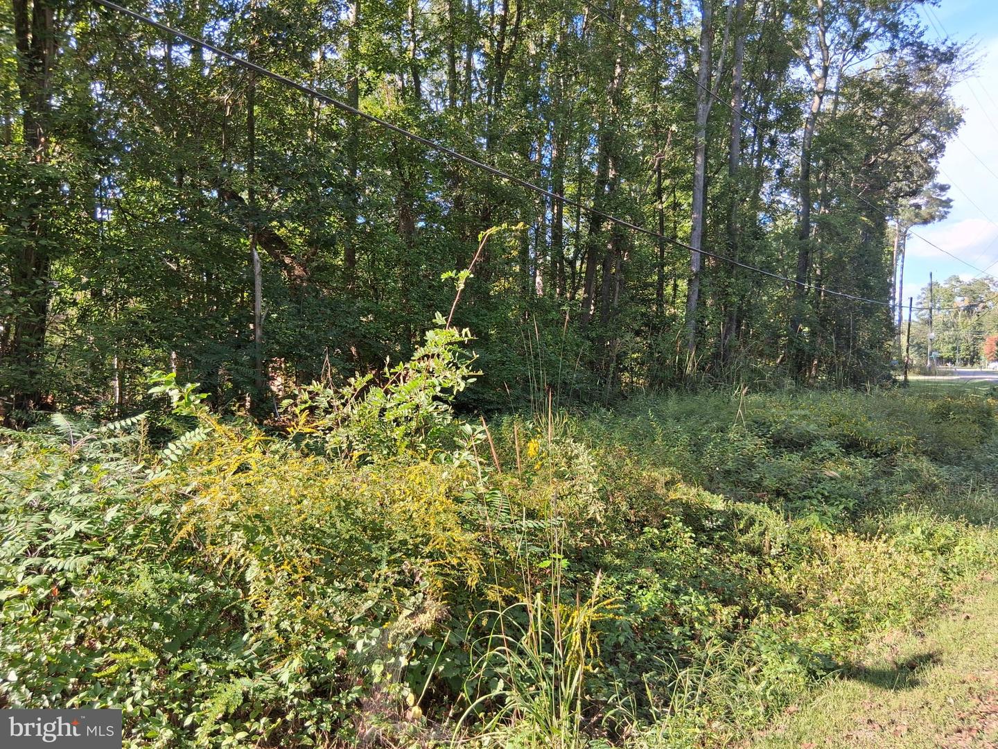 000 FORT KING DR, COLONIAL BEACH, Virginia 22443, ,Land,For sale,000 FORT KING DR,VAWE2009824 MLS # VAWE2009824