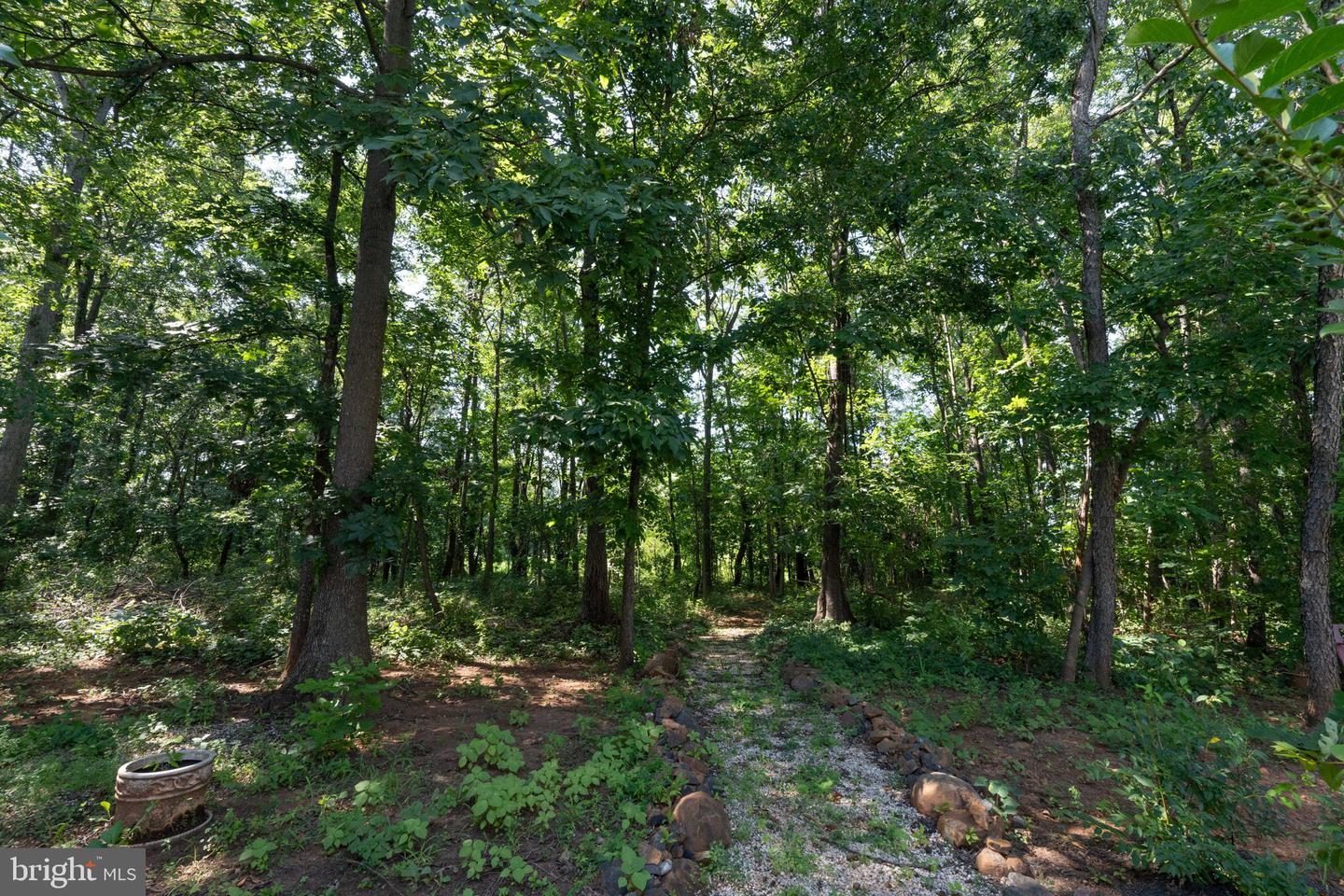 12072 PAPER BIRCH LN, GAINESVILLE, Virginia 20155, 6 Bedrooms Bedrooms, ,3 BathroomsBathrooms,Residential,For sale,12072 PAPER BIRCH LN,VAPW2099316 MLS # VAPW2099316