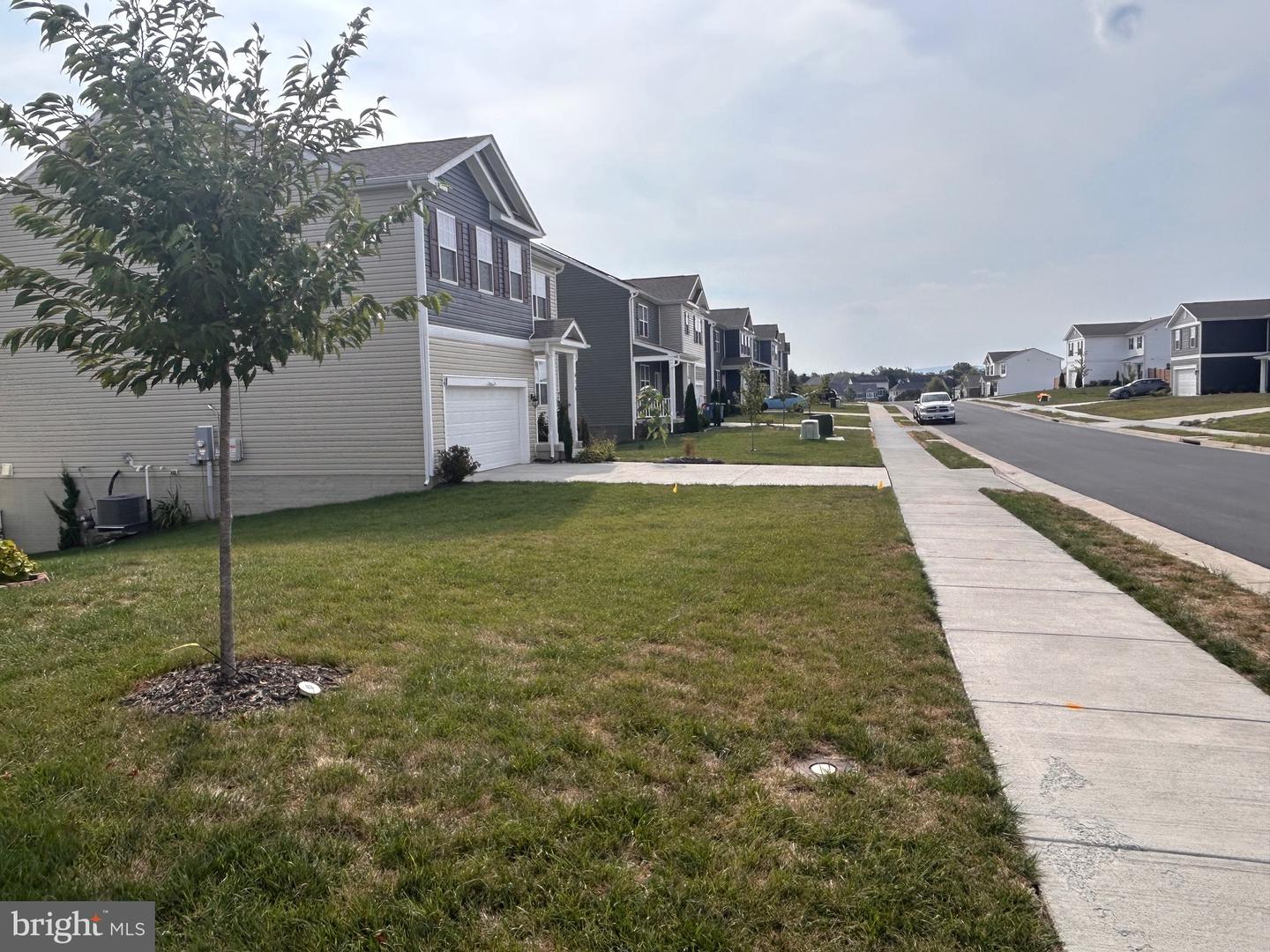 620 WEEKS CT, BERRYVILLE, Virginia 22611, 5 Bedrooms Bedrooms, ,3 BathroomsBathrooms,Residential,For sale,620 WEEKS CT,VACL2006102 MLS # VACL2006102