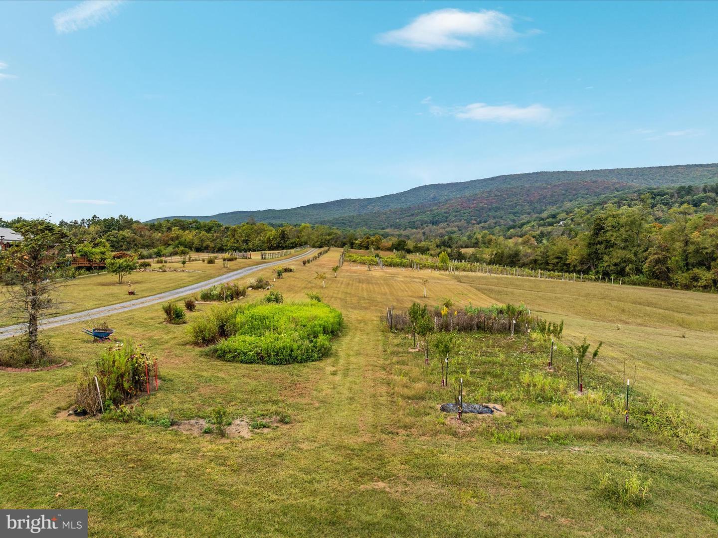 2121 S PIFER RD, STAR TANNERY, Virginia 22654, 3 Bedrooms Bedrooms, ,3 BathroomsBathrooms,Residential,For sale,2121 S PIFER RD,VAFV2037060 MLS # VAFV2037060