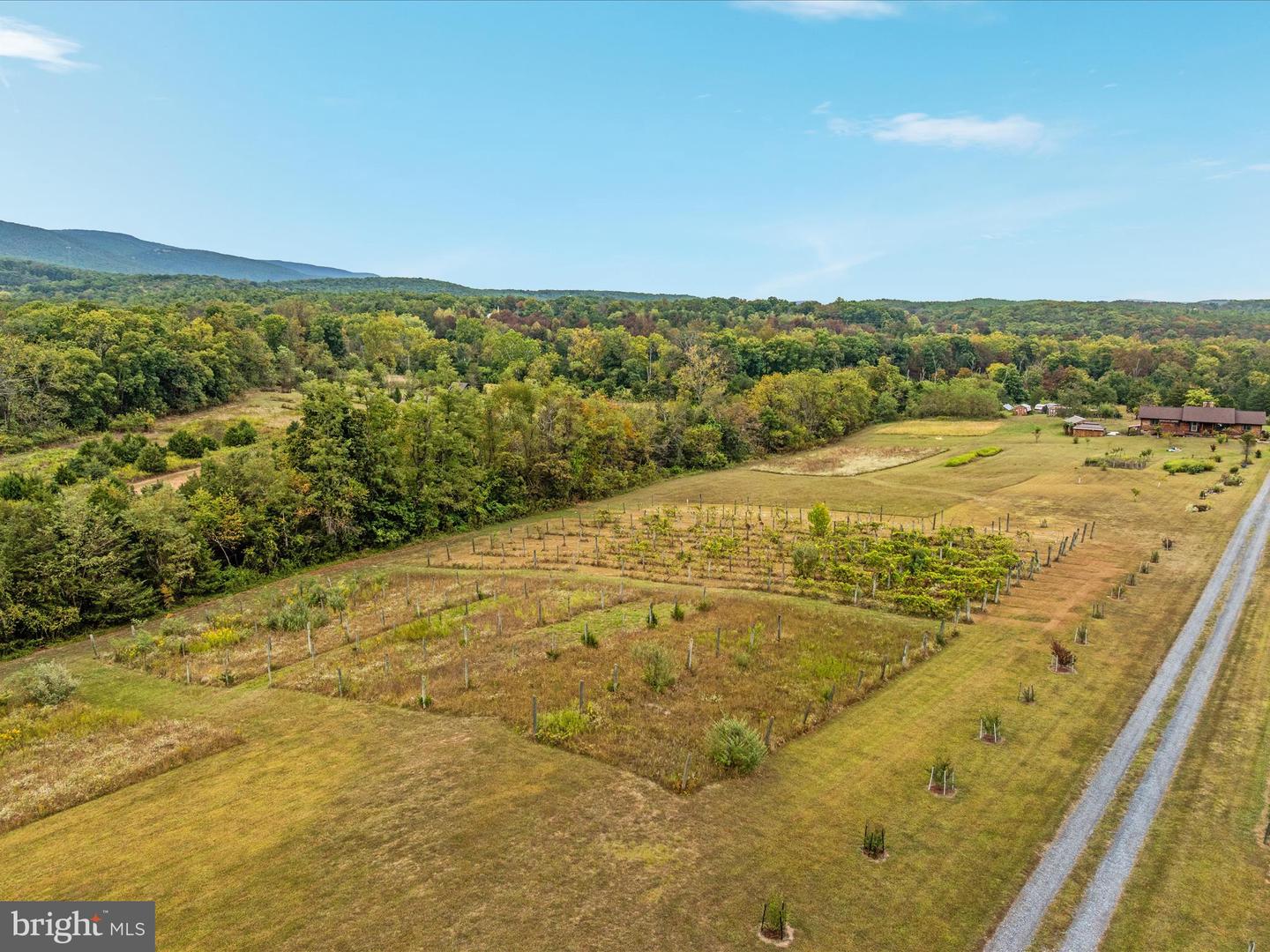 2121 S PIFER RD, STAR TANNERY, Virginia 22654, 3 Bedrooms Bedrooms, ,3 BathroomsBathrooms,Residential,For sale,2121 S PIFER RD,VAFV2037060 MLS # VAFV2037060